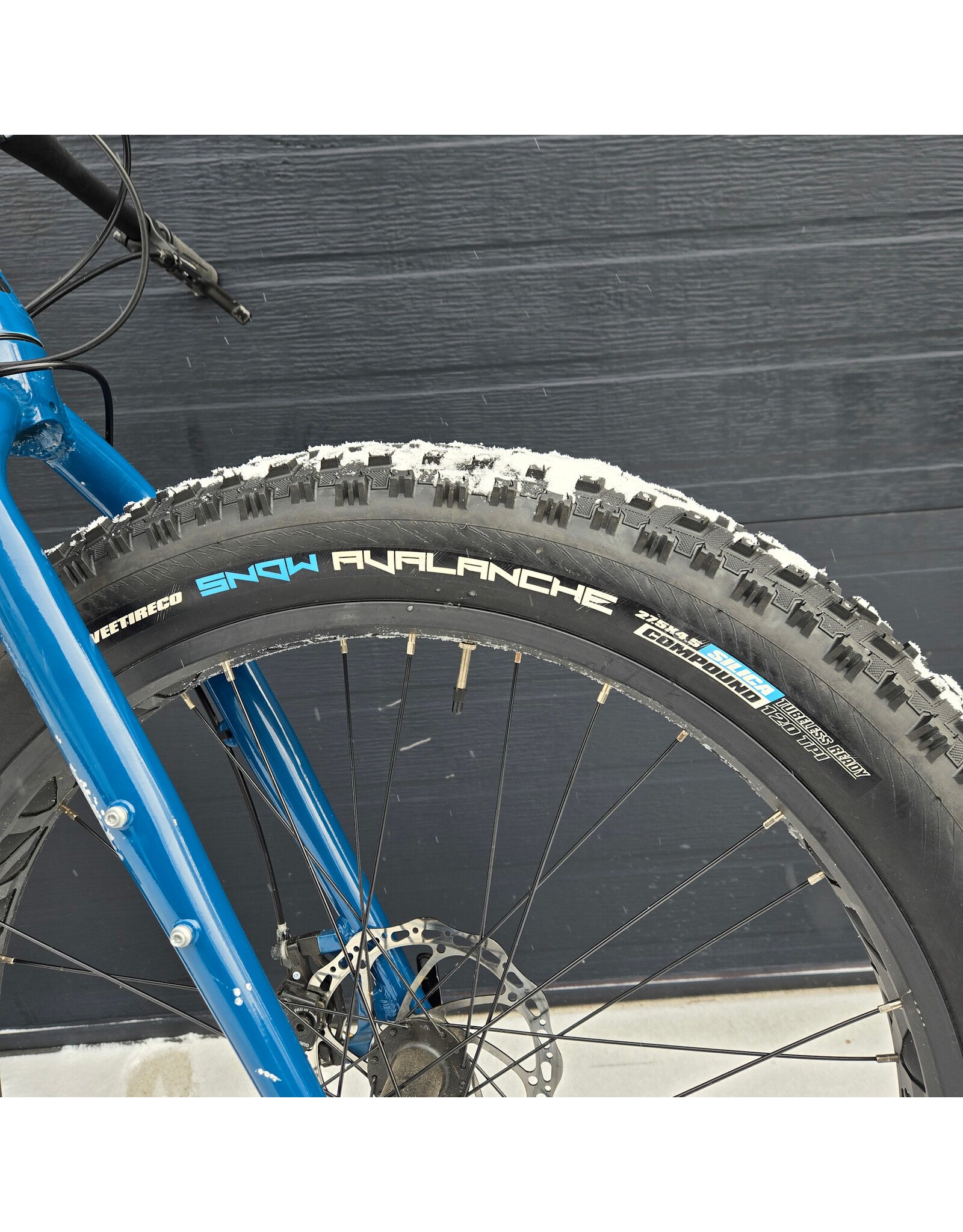 Moose [DEMO] Moose Fat Bike 1 [S16]