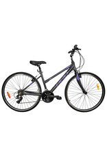 DCO DCO Elegance 701