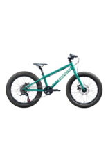 Norco Norco Storm 20 Disc