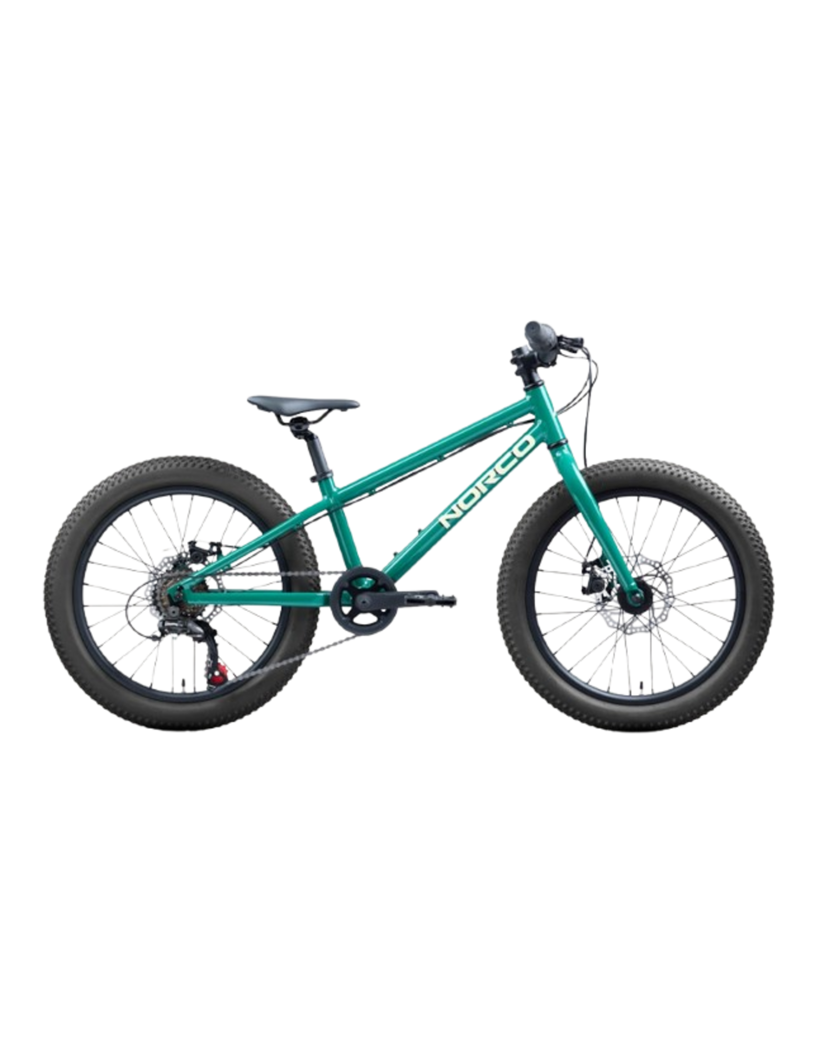 Norco Norco Storm 20 Disc