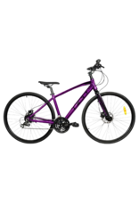 DCO DCO Odyssey Sport 1