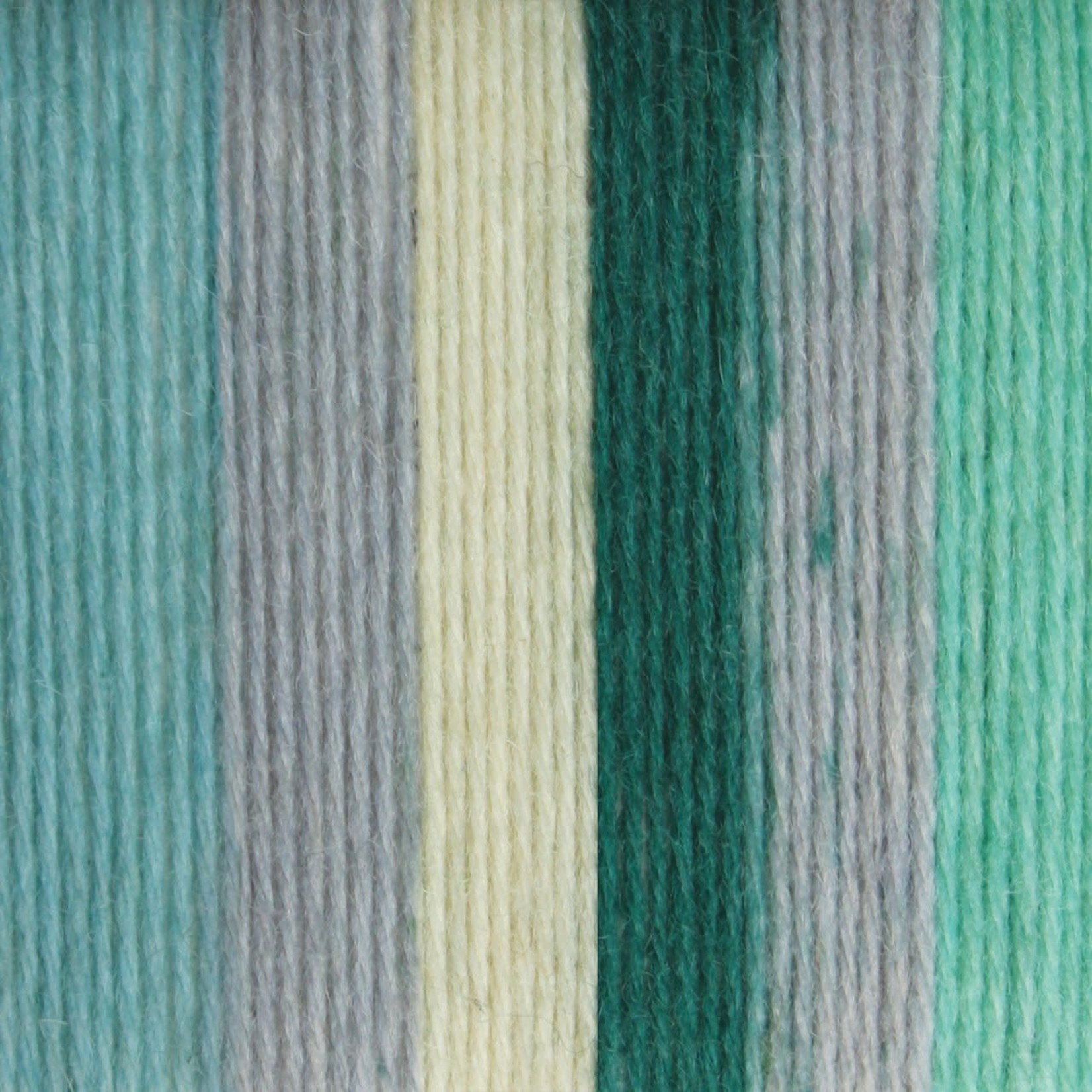 Patons Kroy Socks by Patons