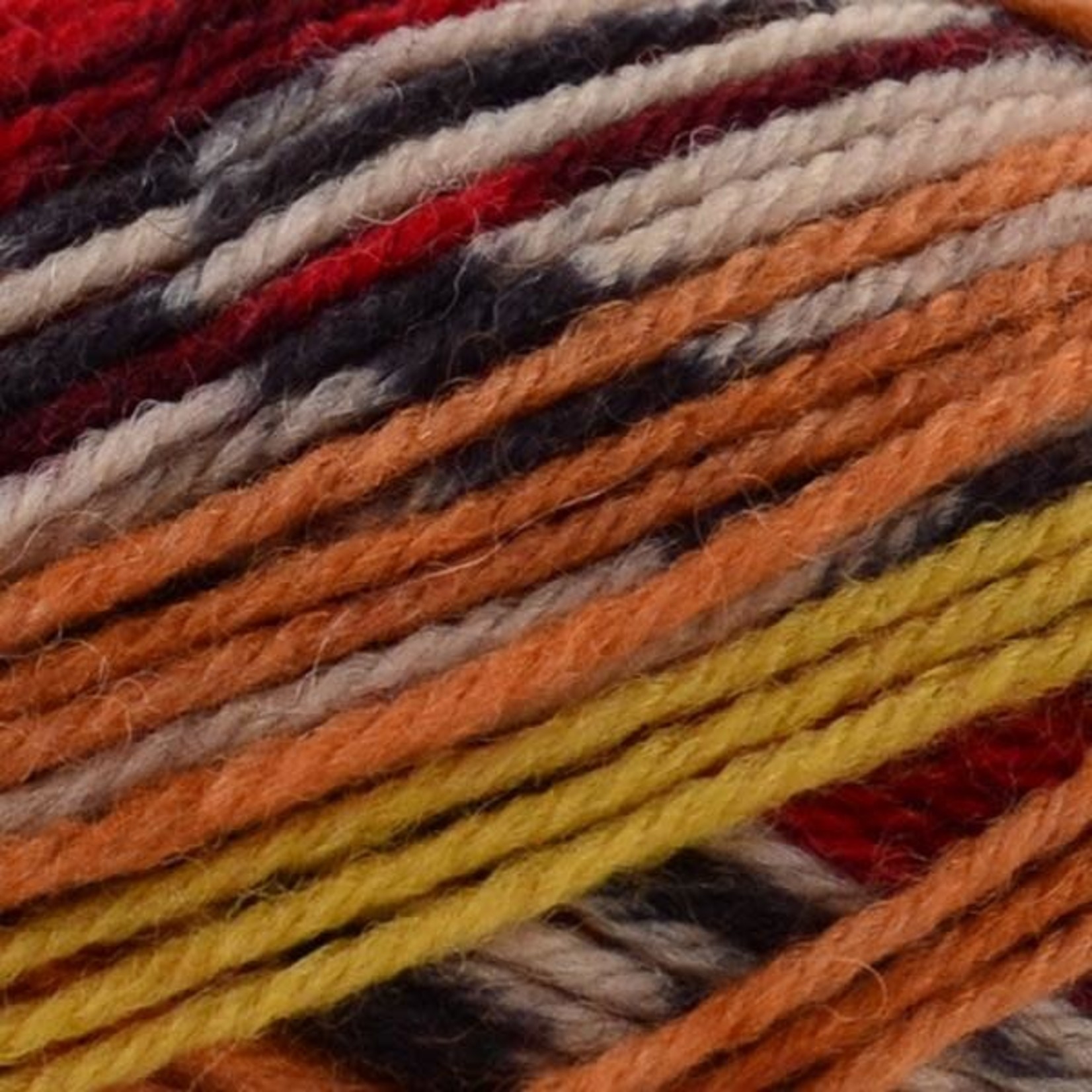 Patons Kroy Socks by Patons