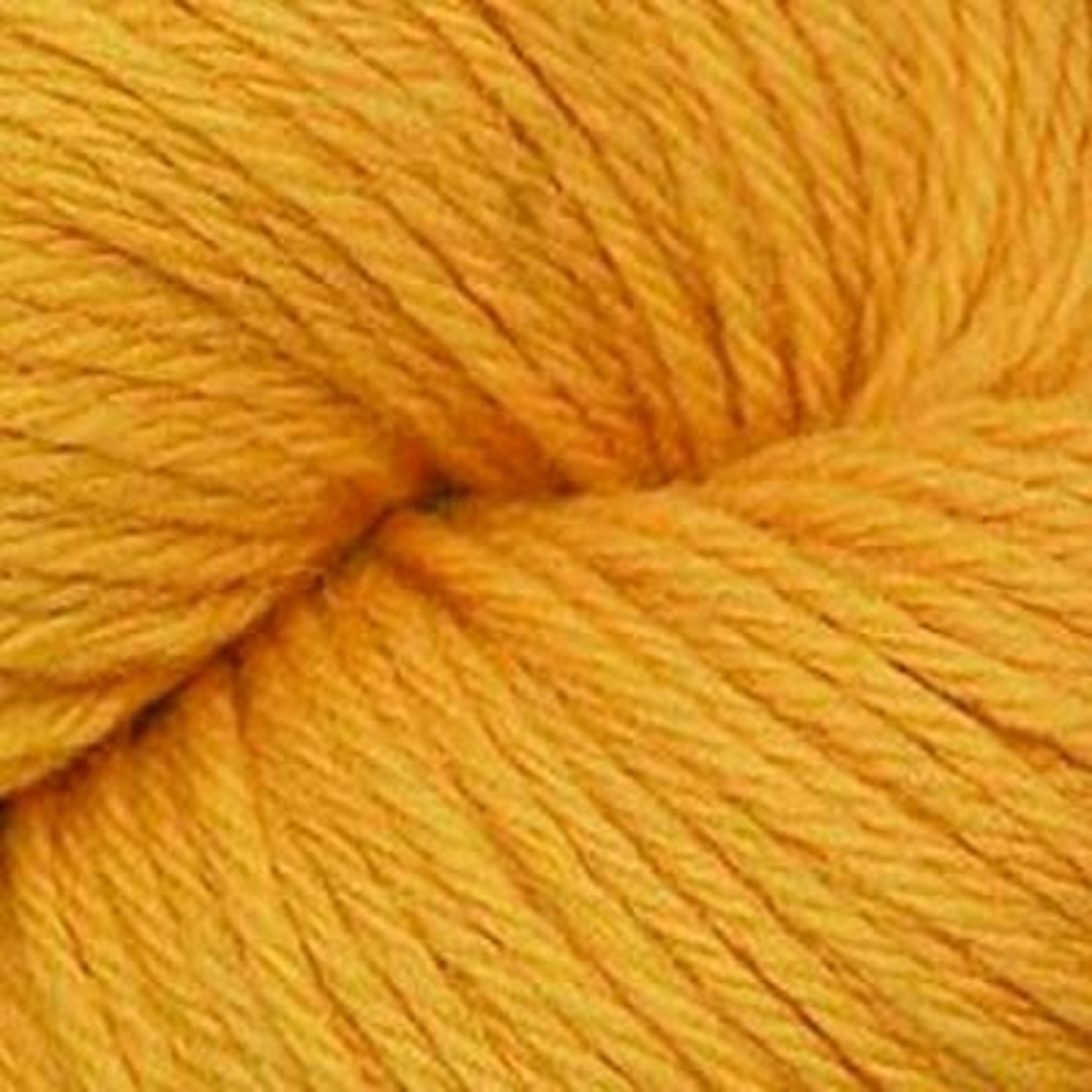 Cascade Cascade 220 Solids