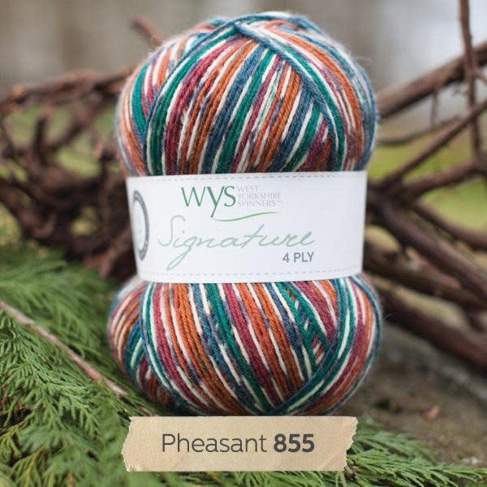 West Yorkshire Spinners Signature 4ply "Country Birds" Collection by WYS