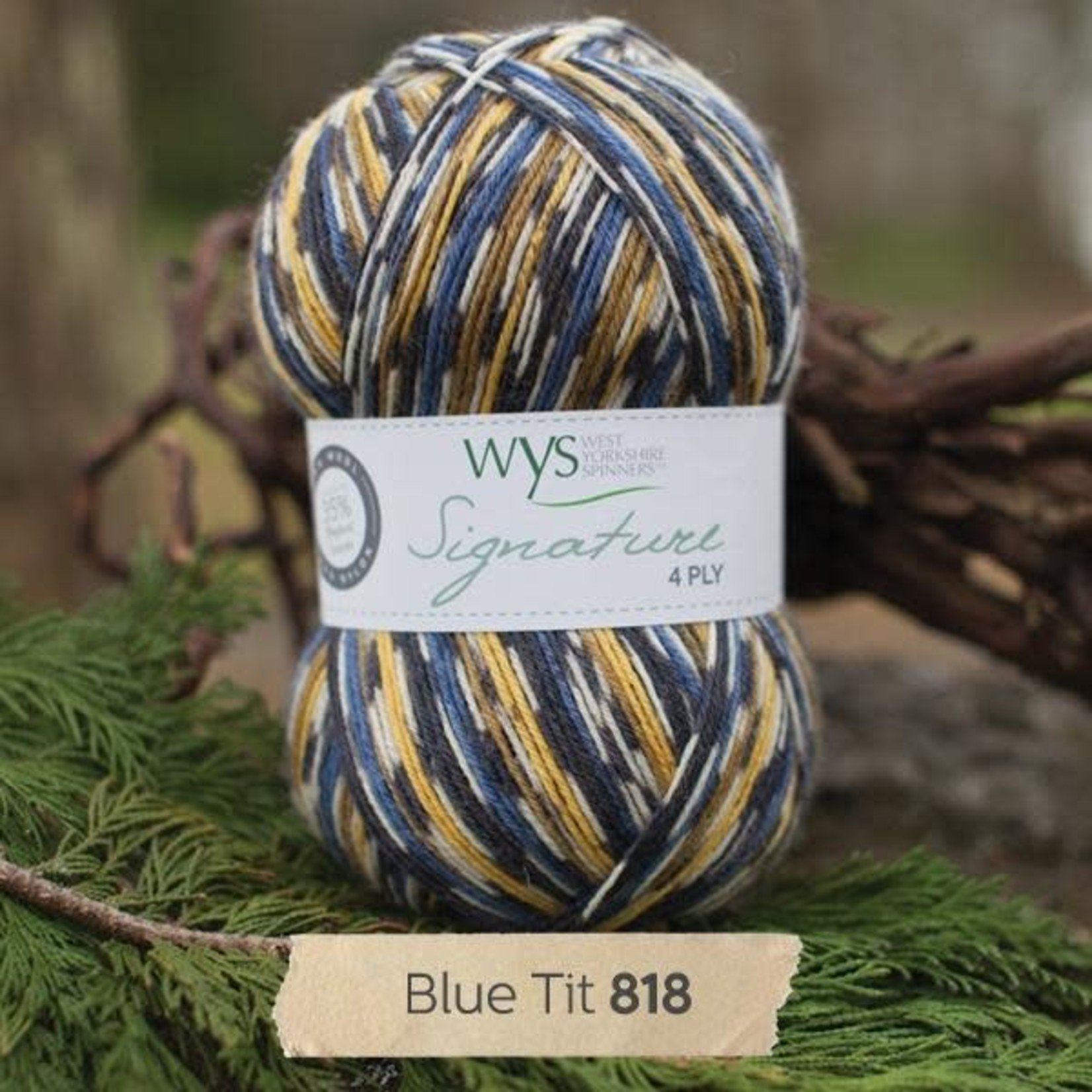 West Yorkshire Spinners Signature 4ply "Country Birds" Collection by WYS