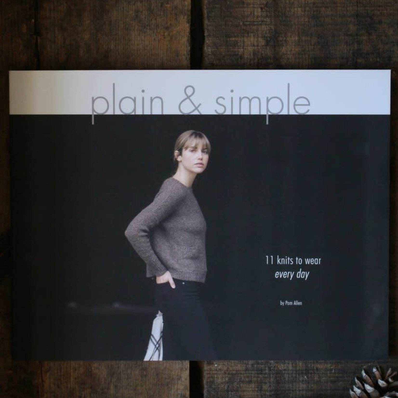 Pam Allen Plain & Simple: 11 Knits to Wear Every Day by Pam Allen