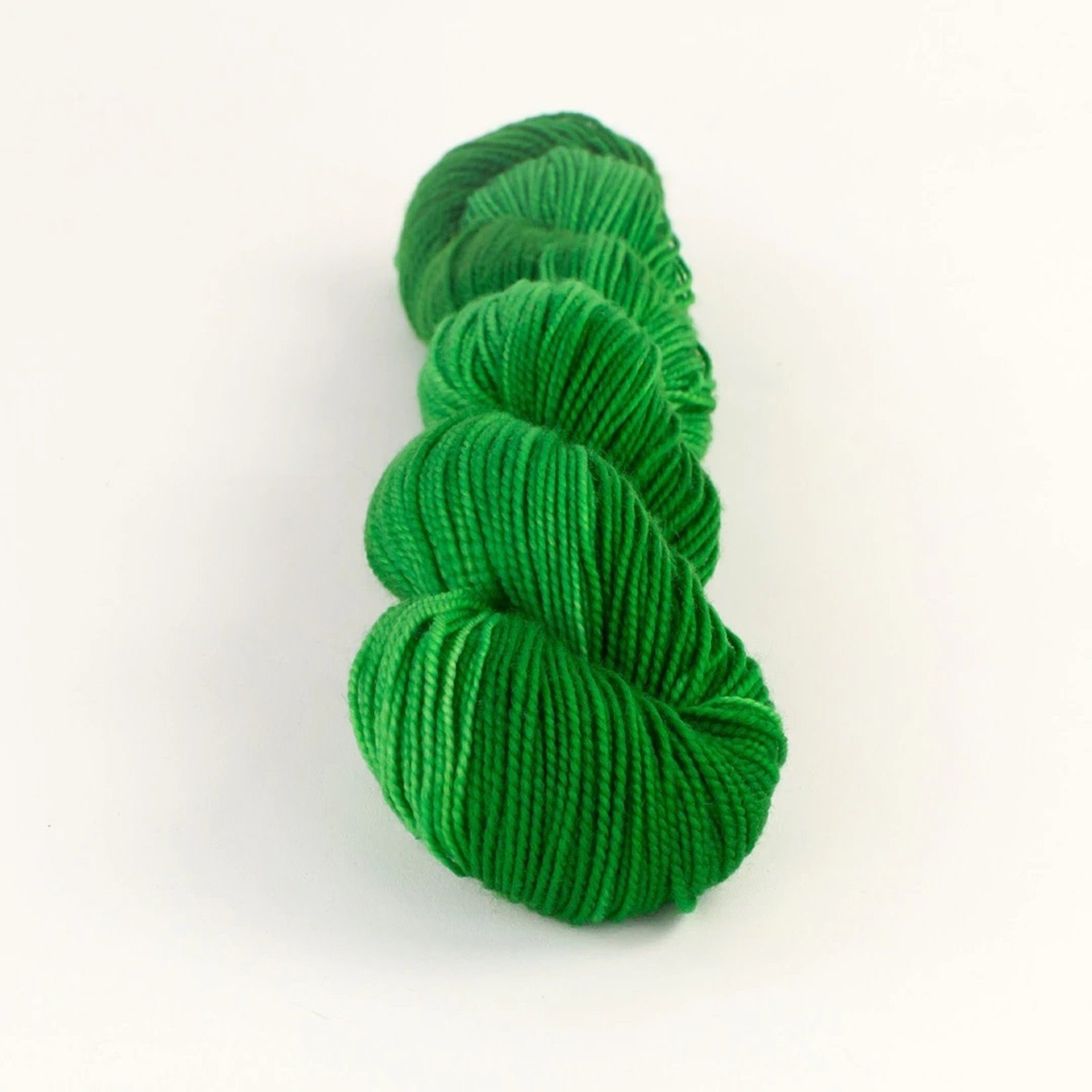 Camp Colour CC Fingering (100% Superwash Merino) by Camp Color