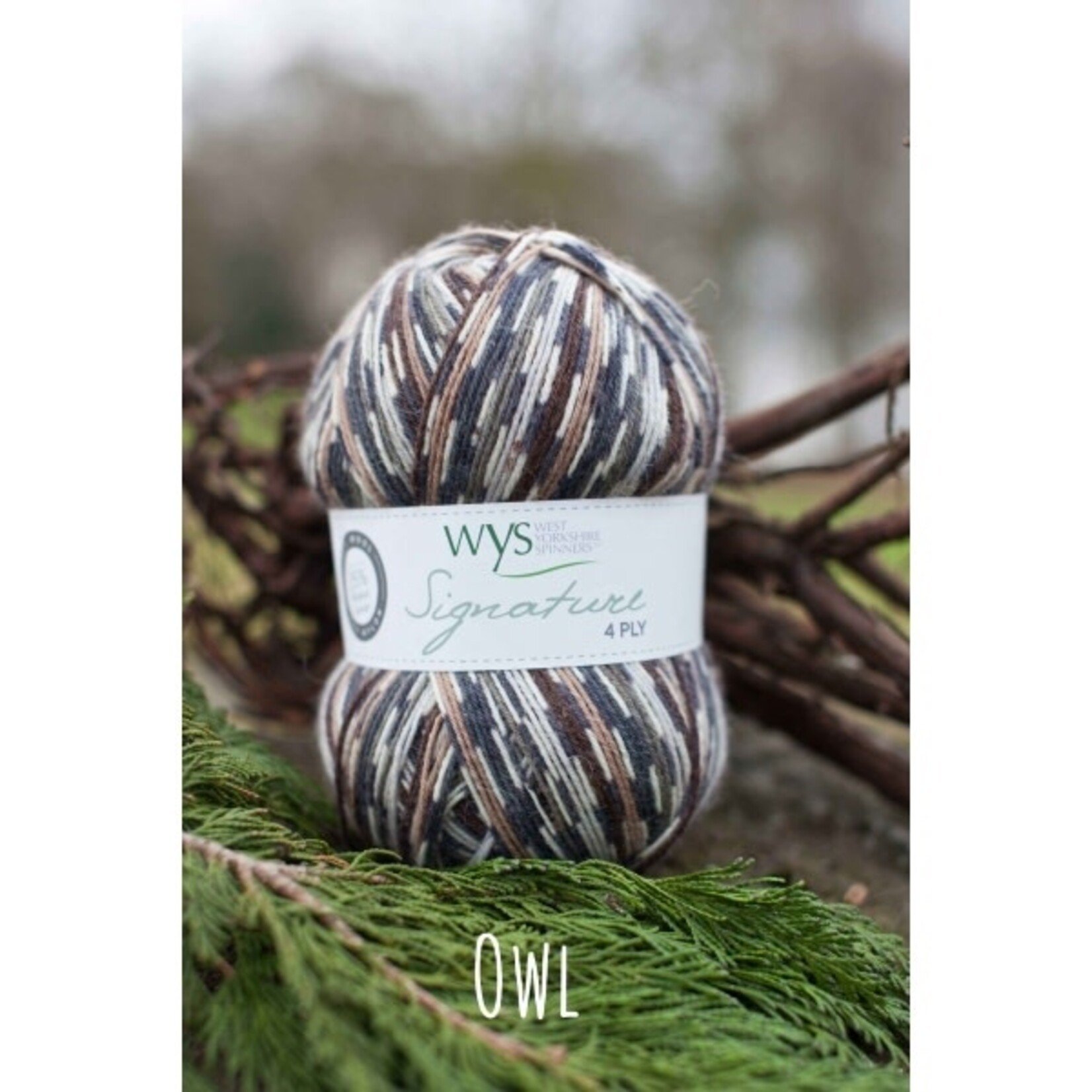 West Yorkshire Spinners Signature 4ply "Country Birds" Collection by WYS