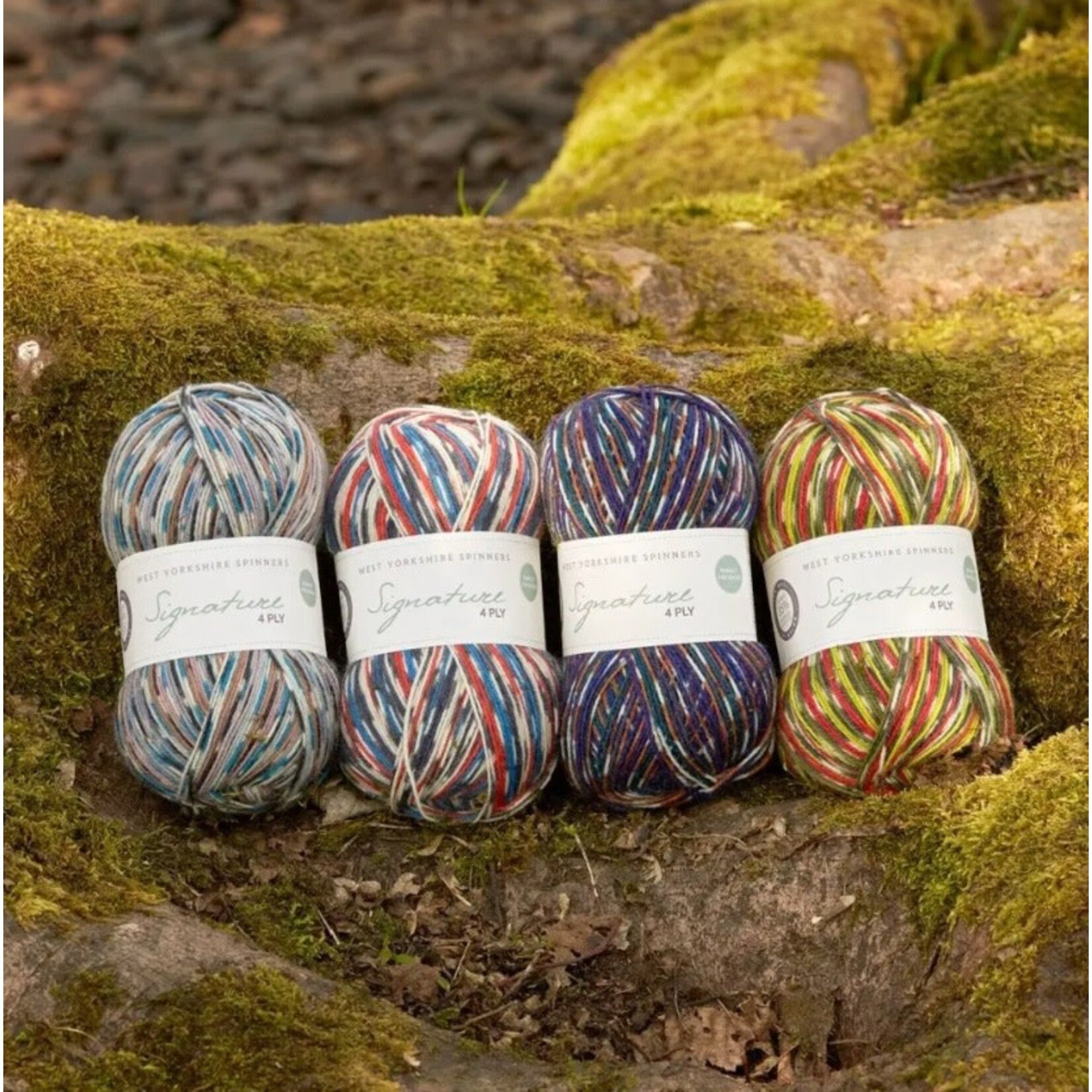 West Yorkshire Spinners Signature 4ply "Country Birds" Collection by WYS