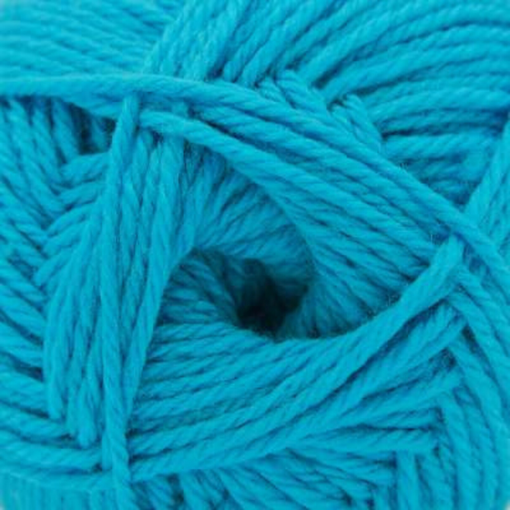 Cascade 220 Superwash Merino Wool by Cascade Yarns