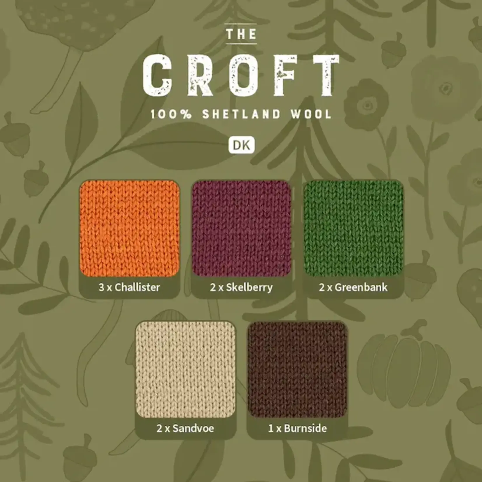 ColourLab and Croft DK Forager Yarn Bundle Wool Trends