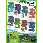 Opal Yarn Rainforest 21 (4 ply) by OPAL