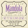 D'Addario D'Addario J72 Phosphor Bronze Light Mandola Strings 14-49