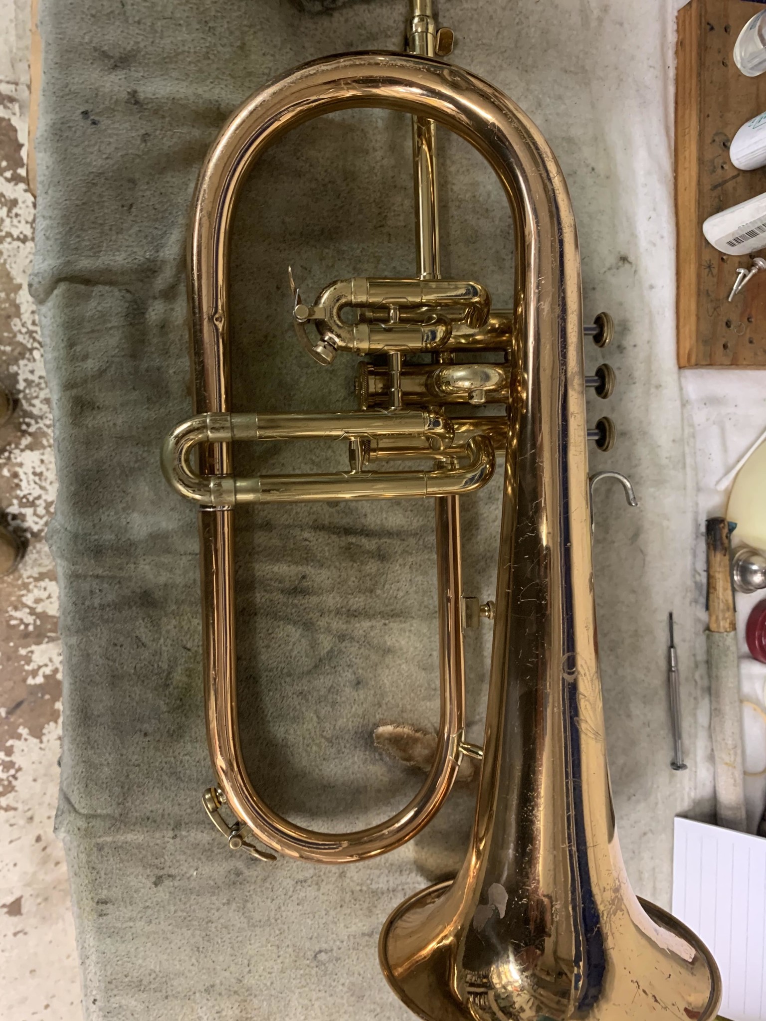 Flugelhorn Before