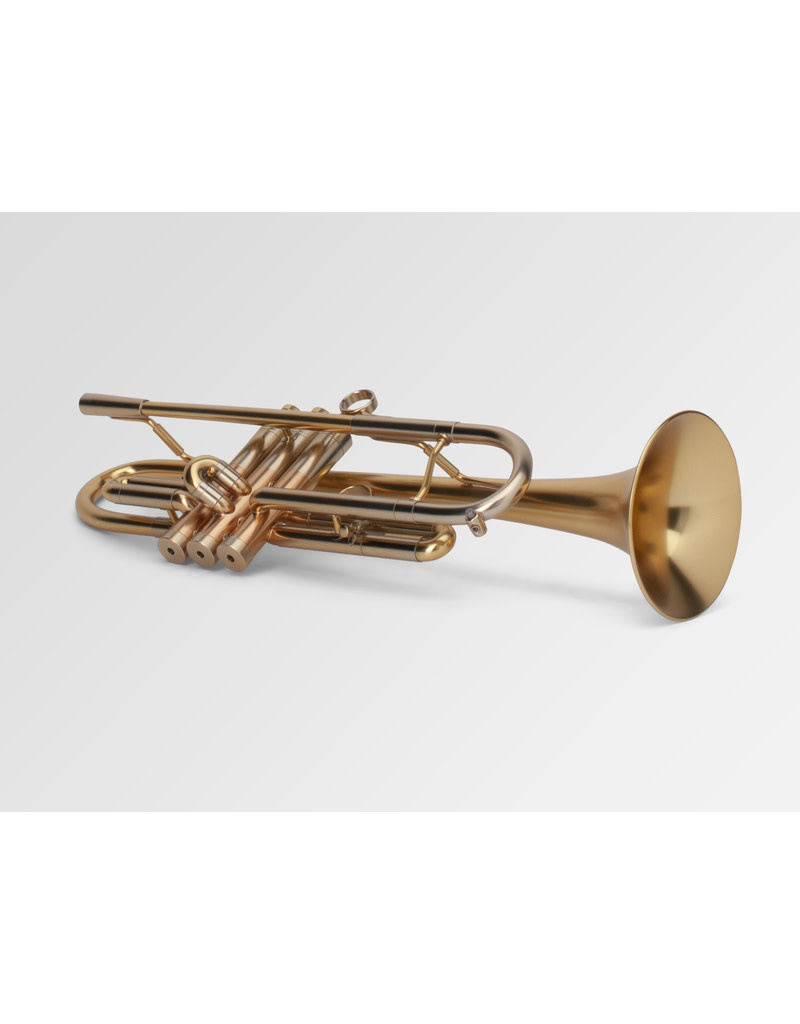 Adams A4 LT Yellow Brass Bb Trumpet Satin Gold Lacquer The