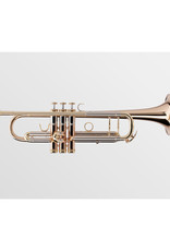 Adams Adams A7 Gold Brass Bb Trumpet - Lacquer