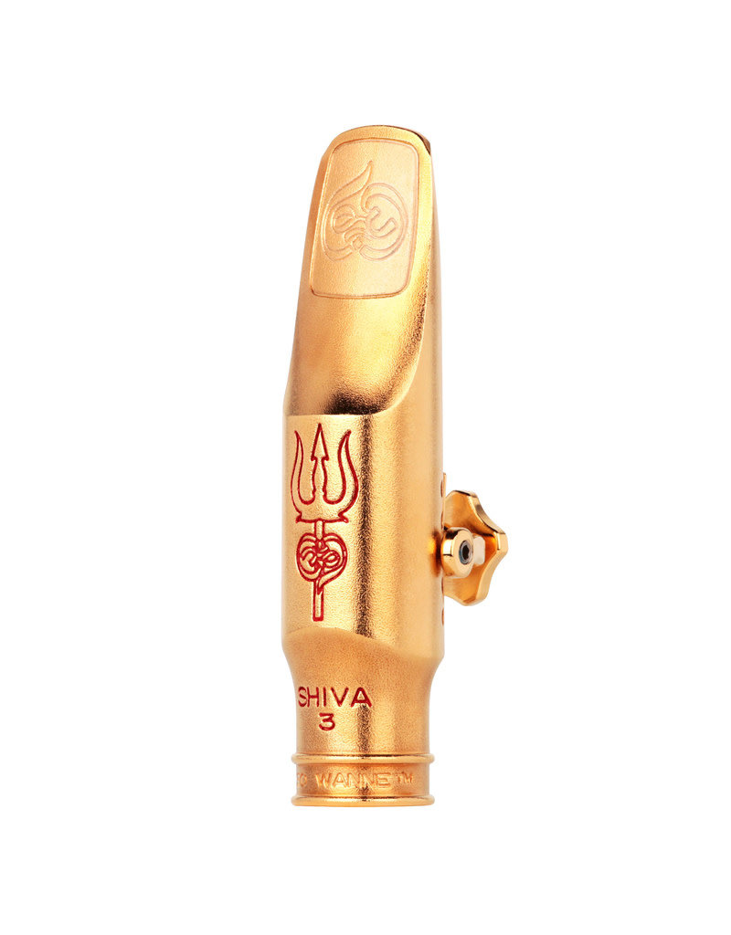 Theo Wanne Theo Wanne SHIVA 4 Gold Tenor Sax Mouthpiece