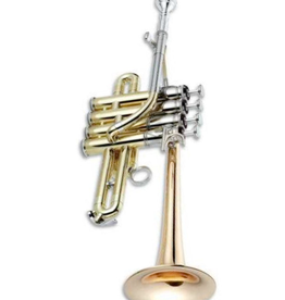 XO XO JTRXO1700RL  Piccolo Trumpet Bb/A