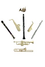 Mini Instrument Pin