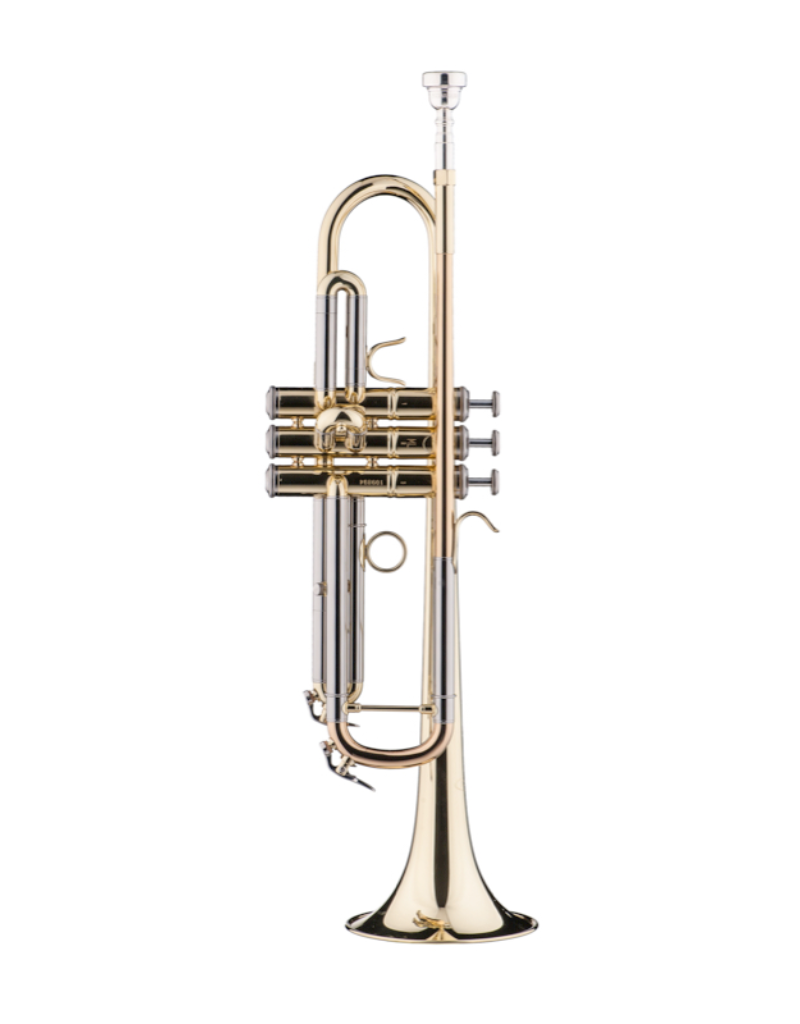 Schagerl Schagerl 355 Advanced Student Bb Trumpet – Lacquered Finish