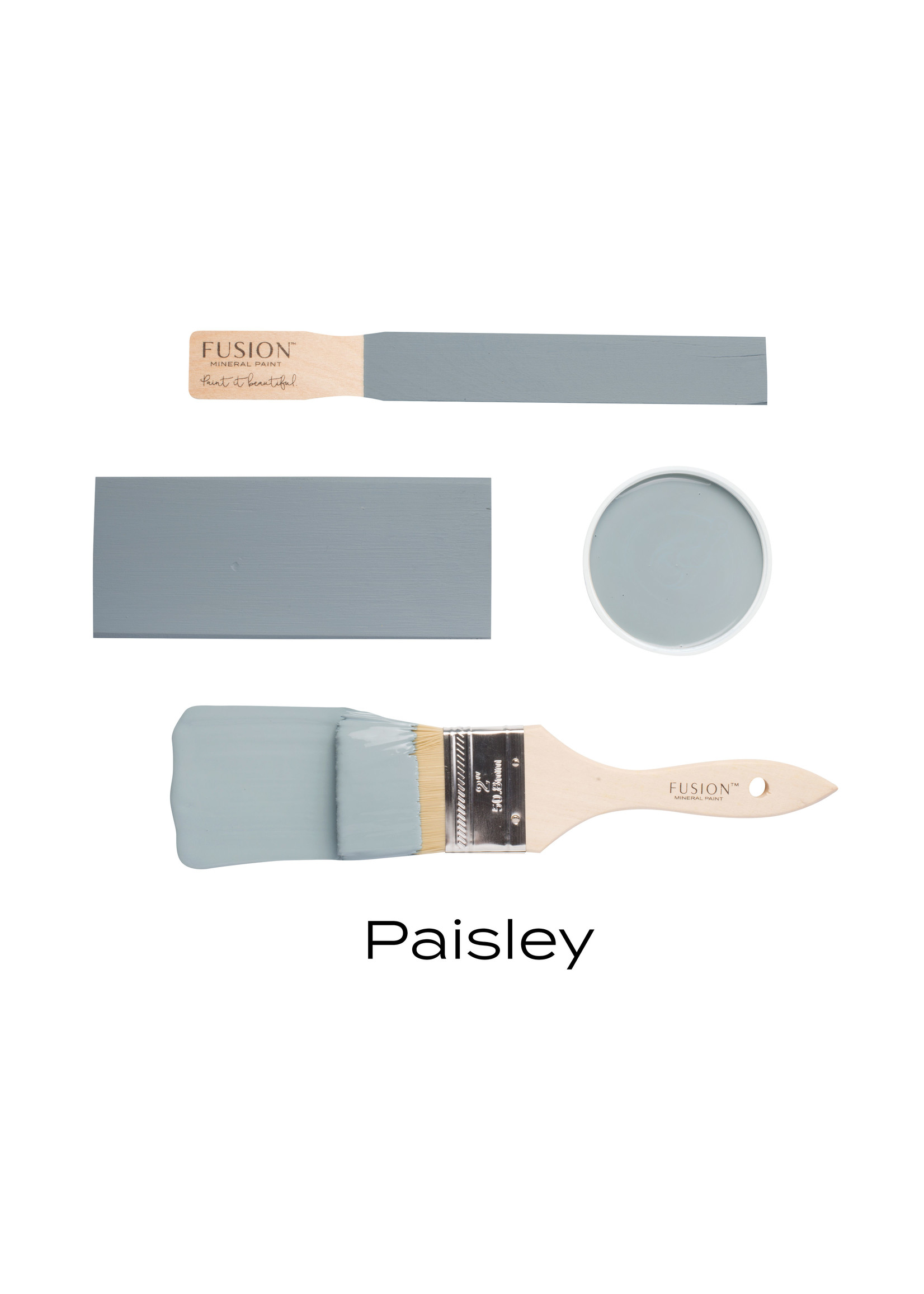 Fusion Mineral Paint™ - Paisley