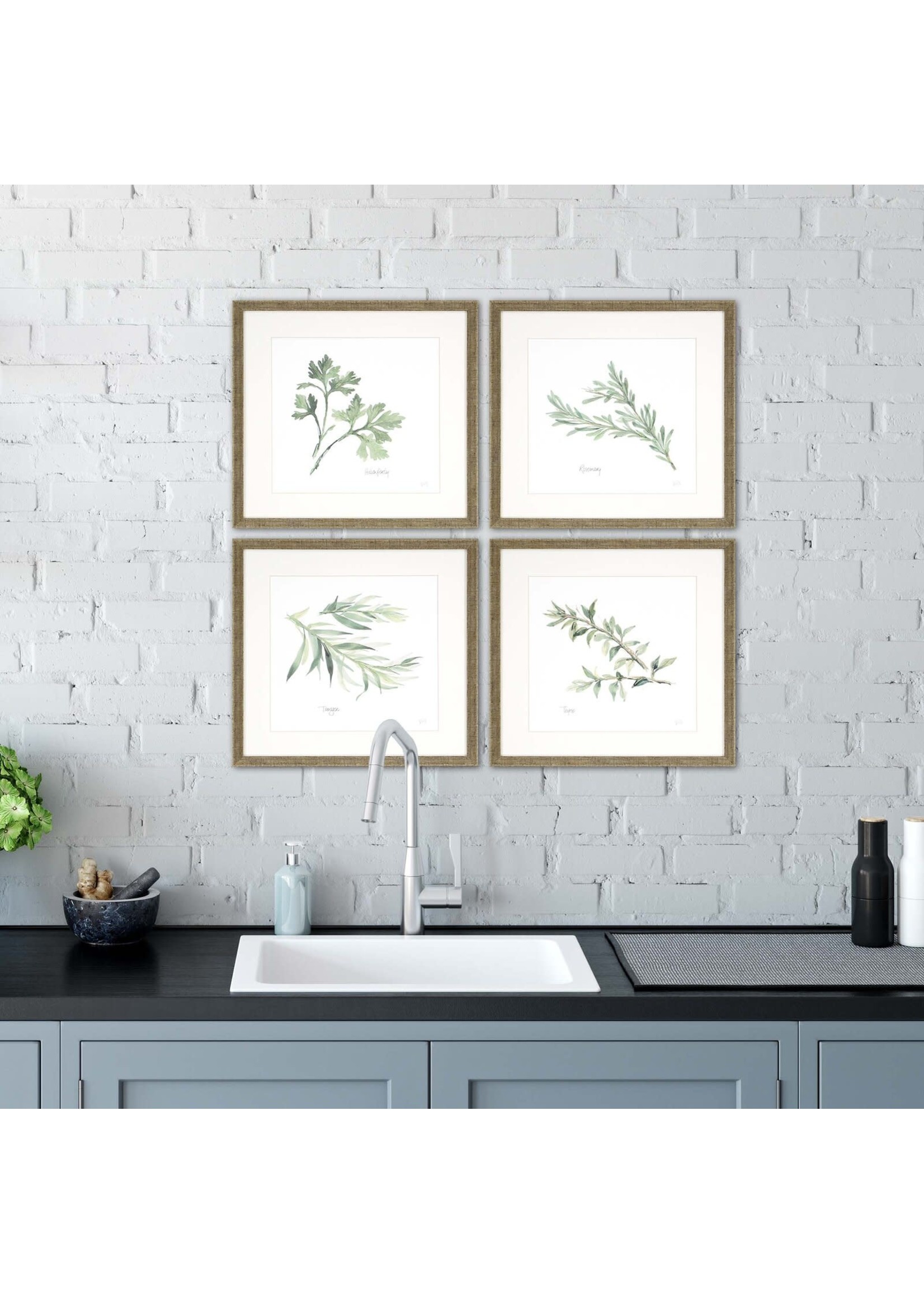 *Herbs by Paschke - 4 Piece Picture Frame Graphic Art Print Set on Paper