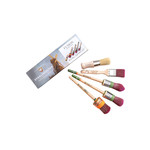 Staalmeester® - Painters Essential Kit (5 brushes)