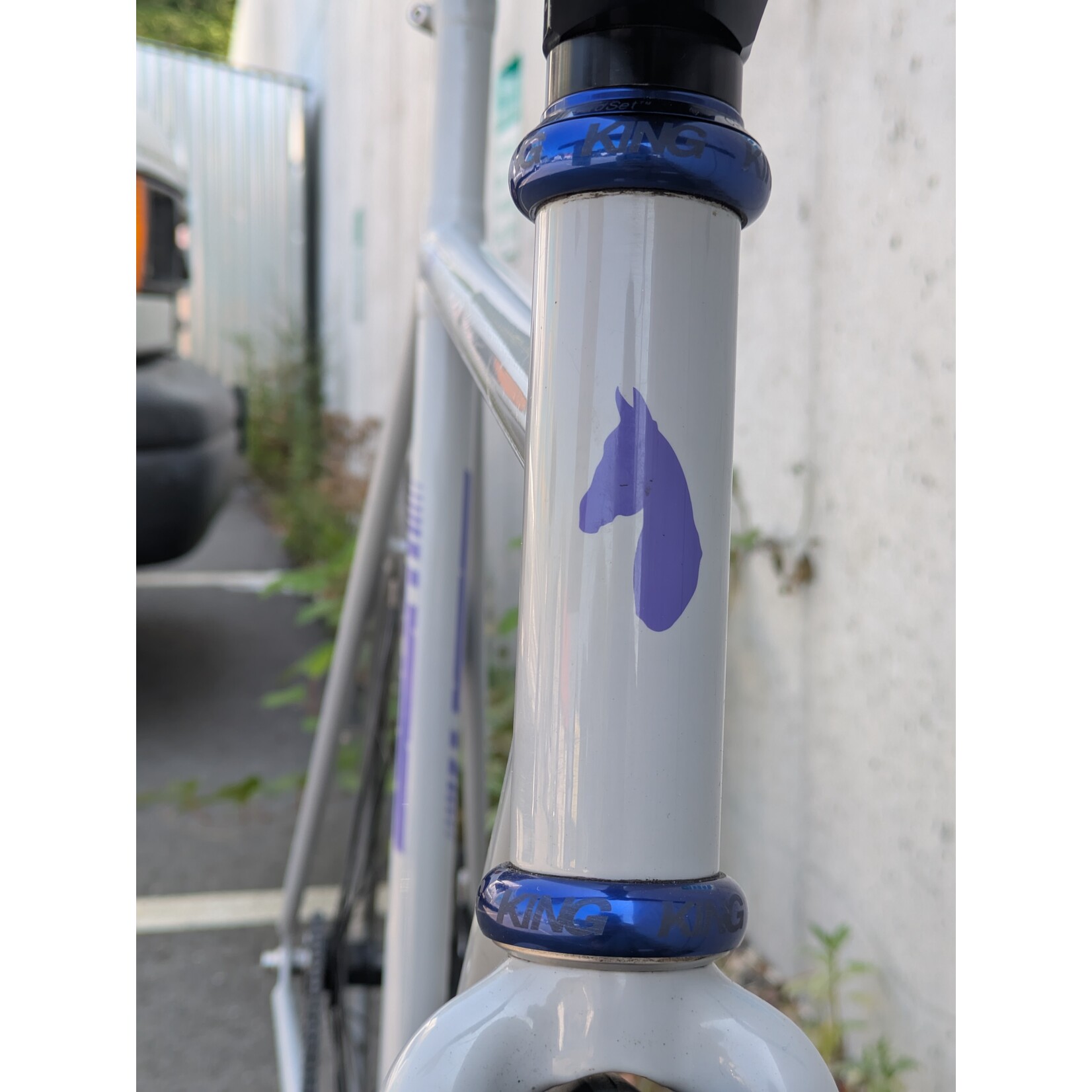 Portland Gear Hub Horse Cycles Santanico Track - Large - Grey