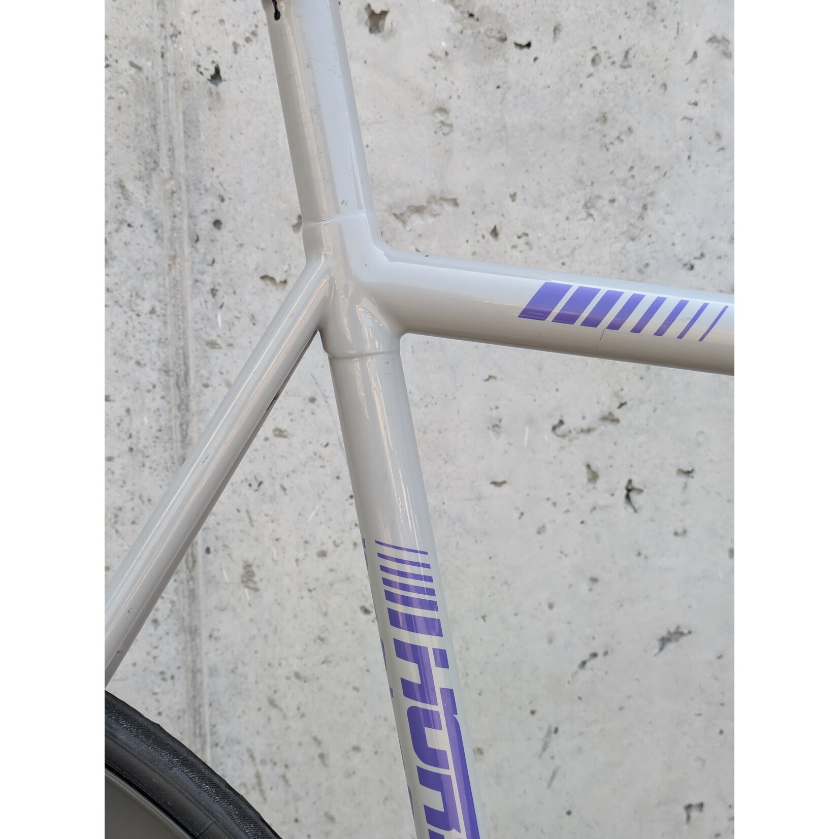 Portland Gear Hub Horse Cycles Santanico Track - Large - Grey