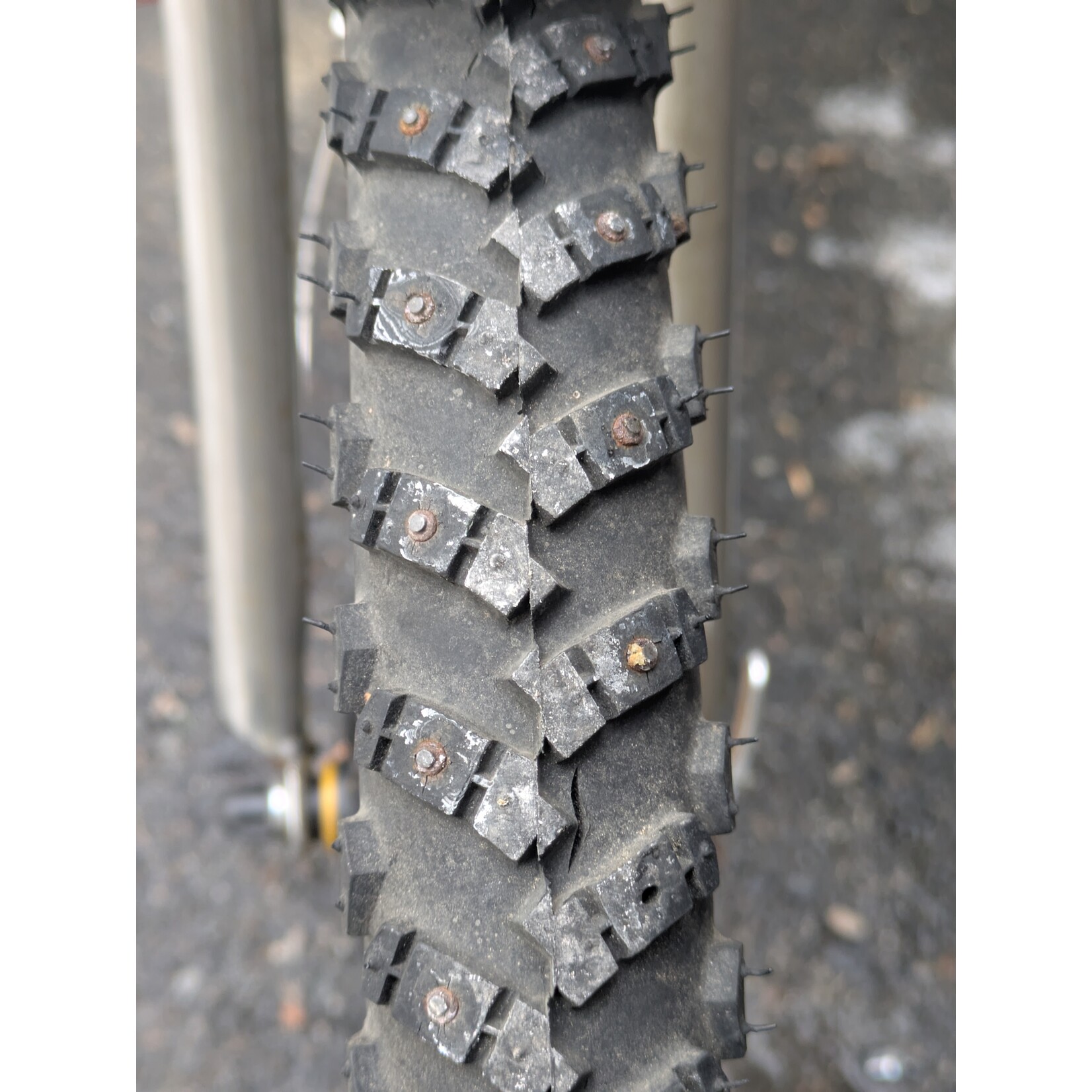 Portland Gear Hub Marin Pine Mountain - Orange - Large