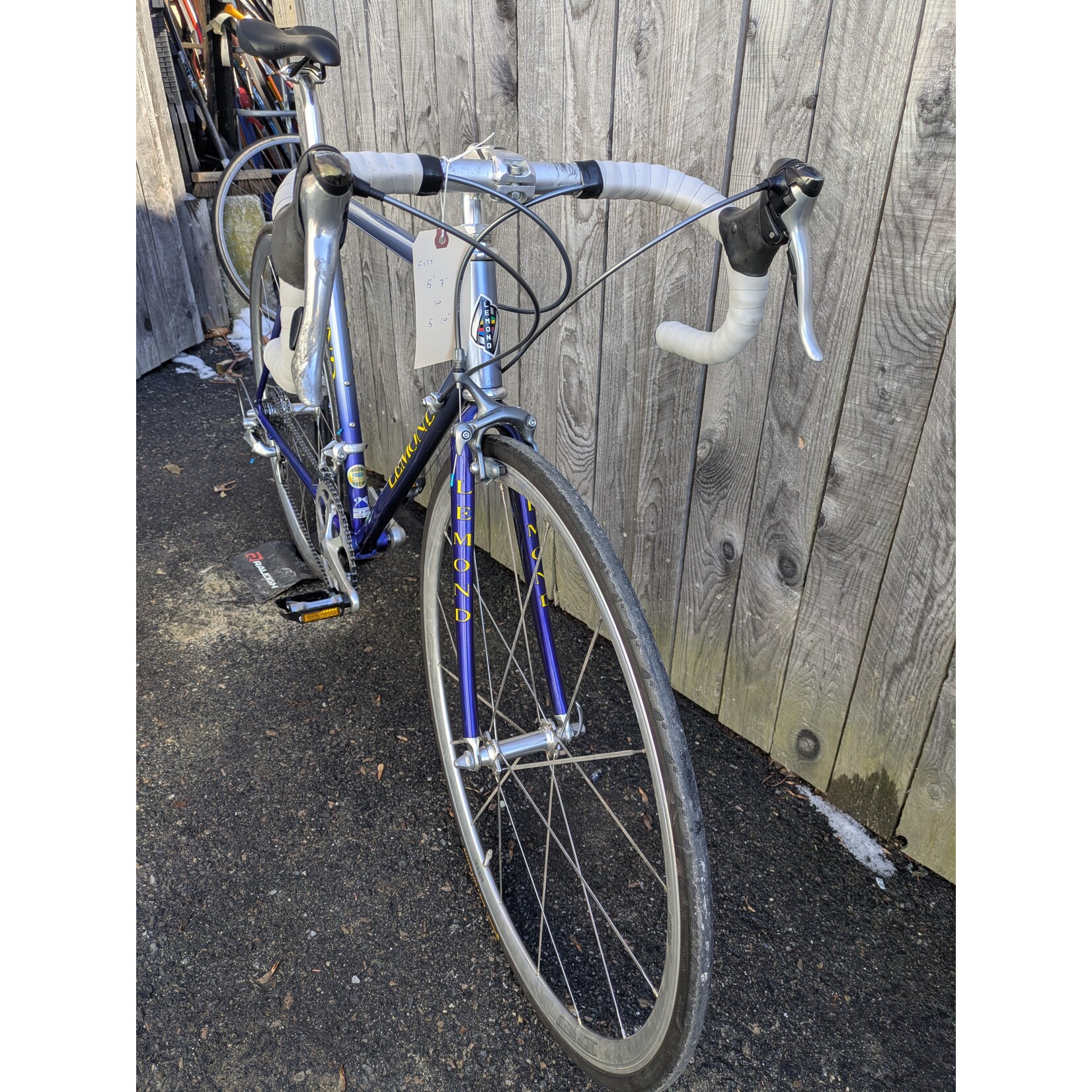 Portland Gear Hub Lemond Zurich - Medium