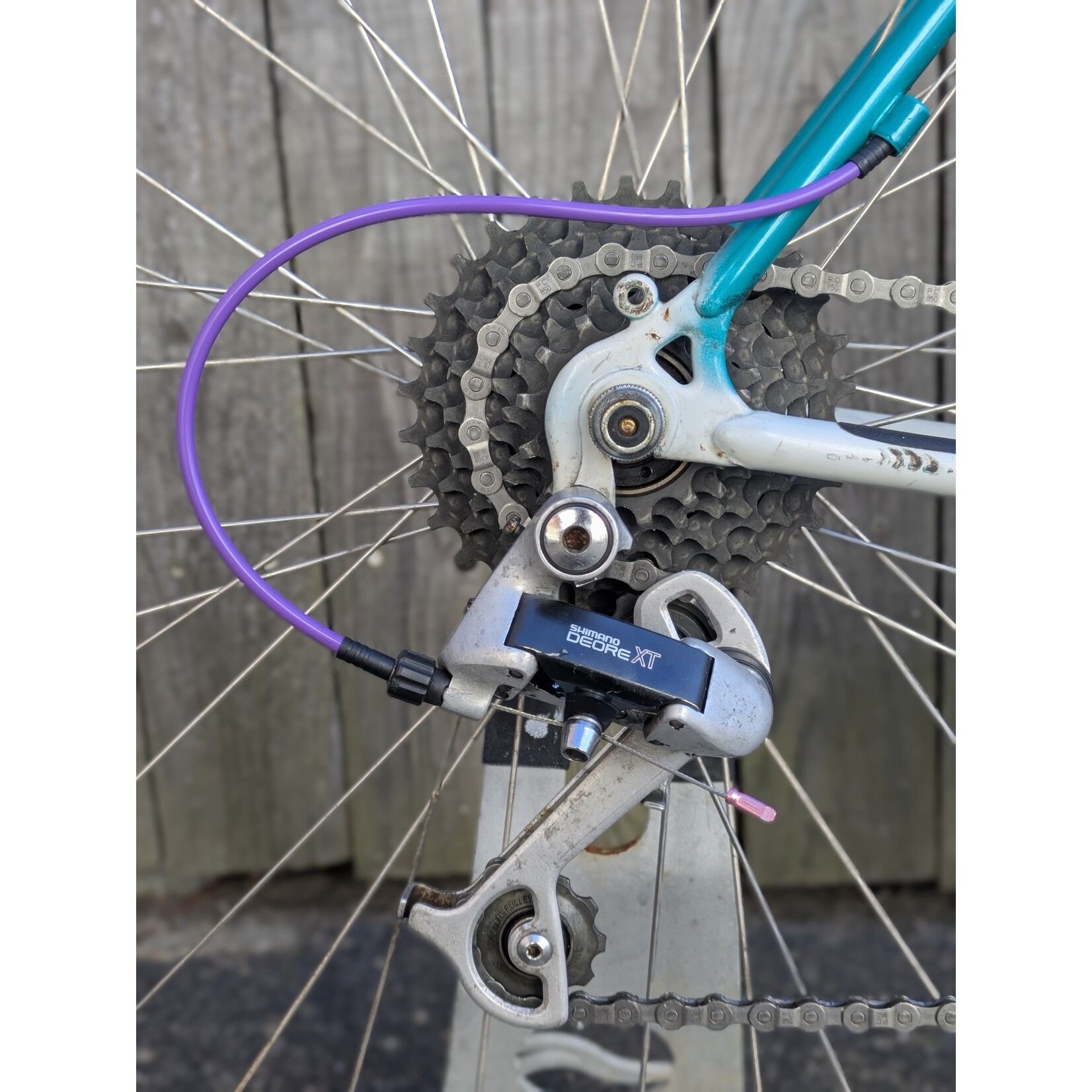 Portland Gear Hub Bianchi Volpe - Medium - Blue/White