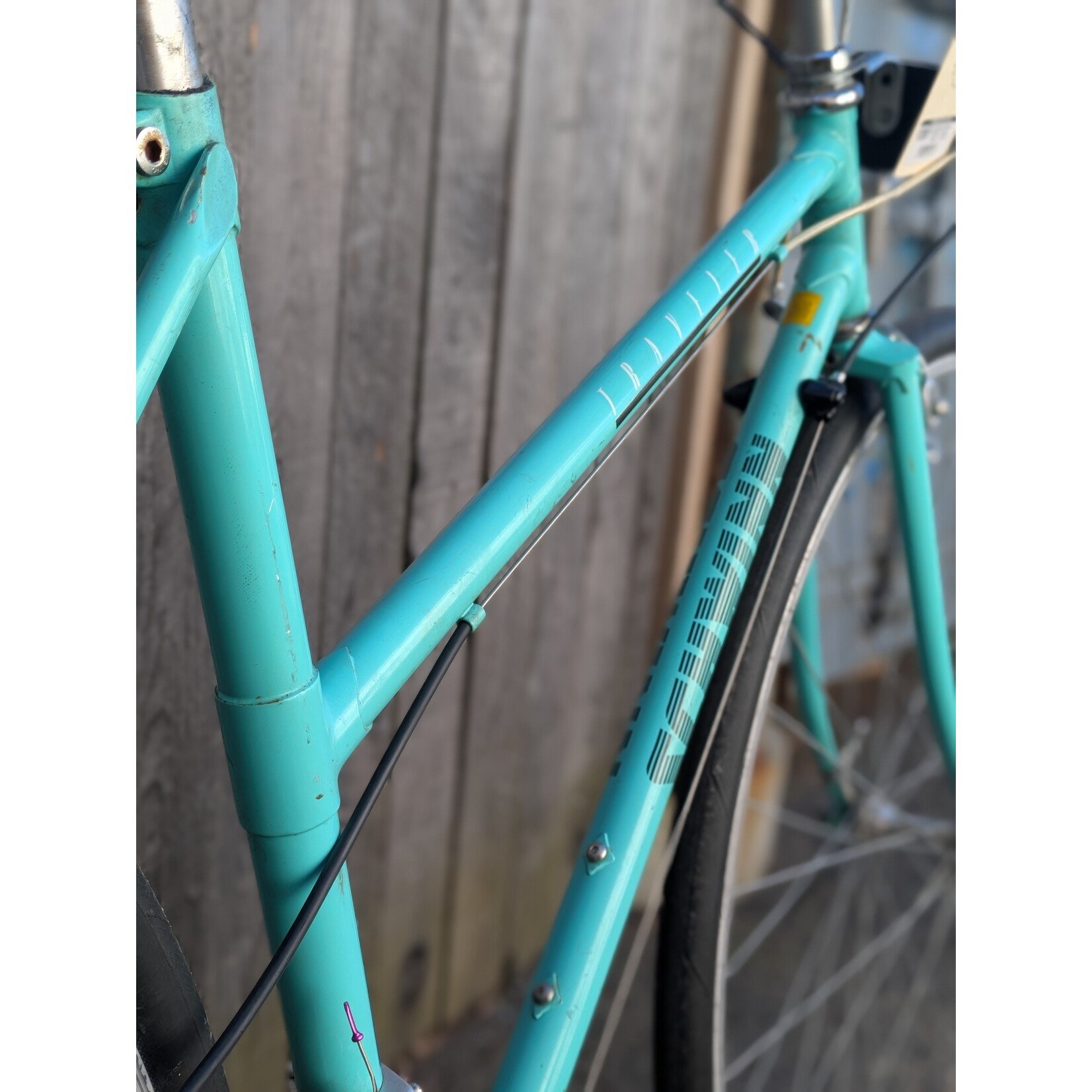 Portland Gear Hub Schwinn Traveler - Small - Seafoam Green