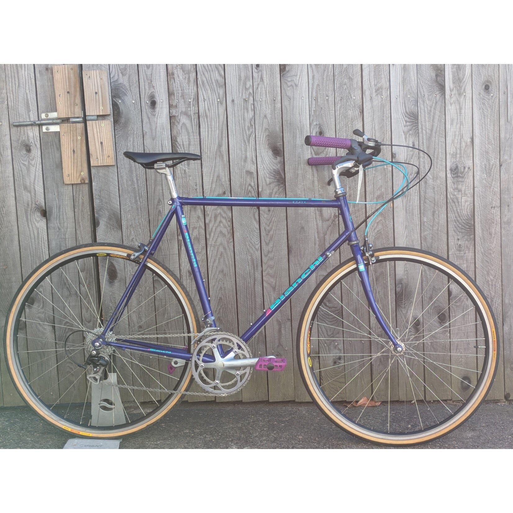 Portland Gear Hub Bianchi - Brava - Large - Blue