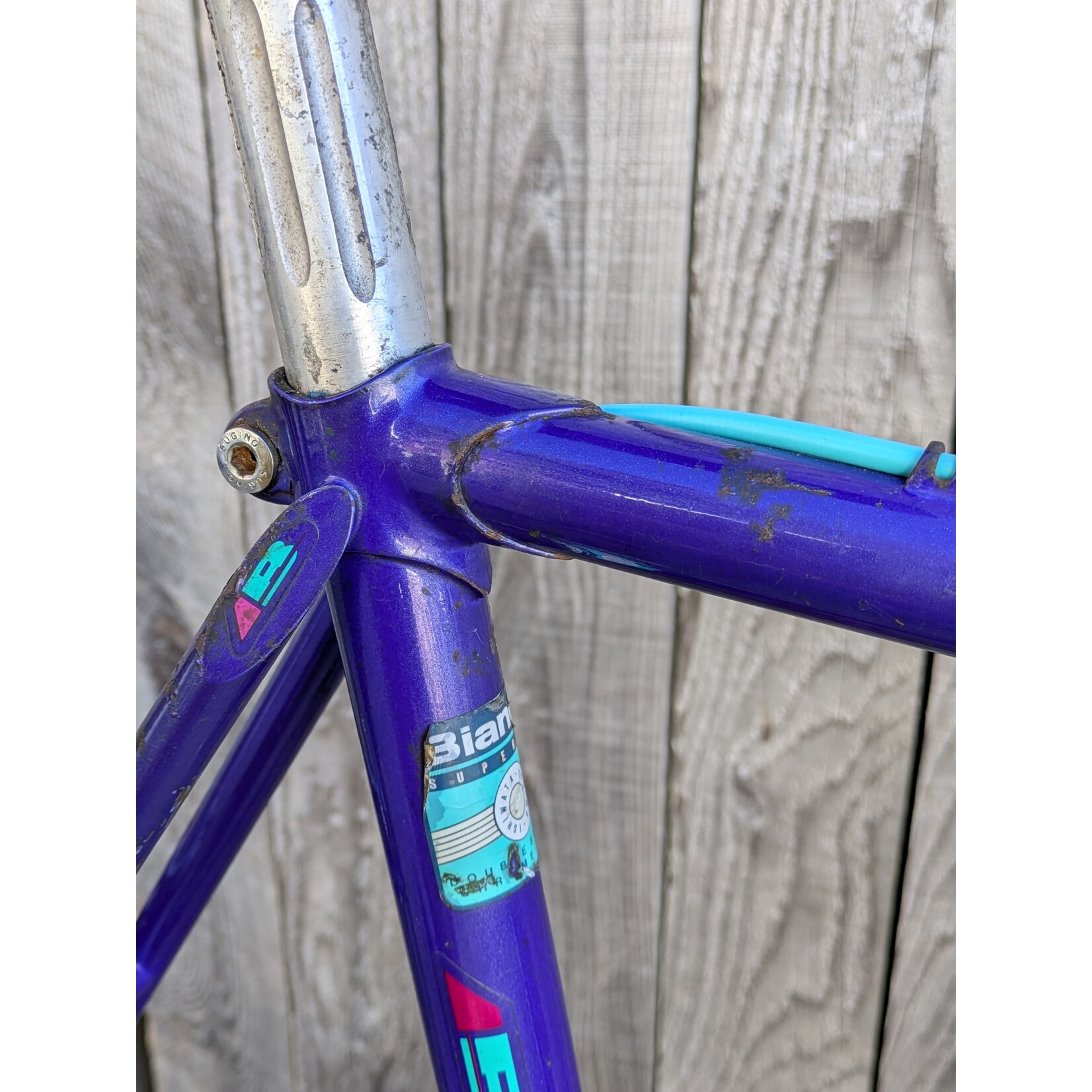 Portland Gear Hub Bianchi - Brava - Large - Blue