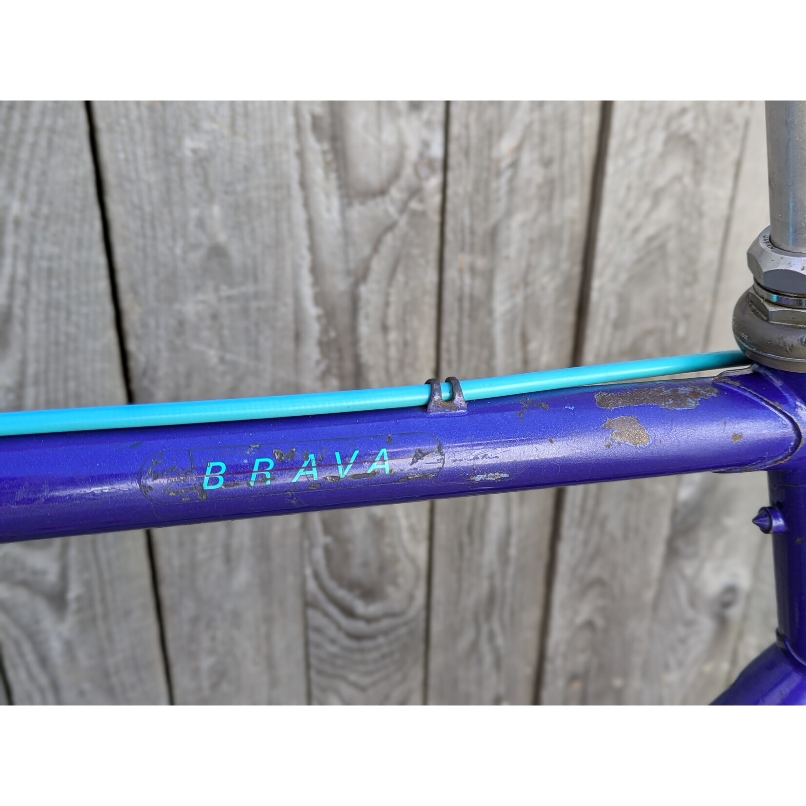 Portland Gear Hub Bianchi - Brava - Large - Blue