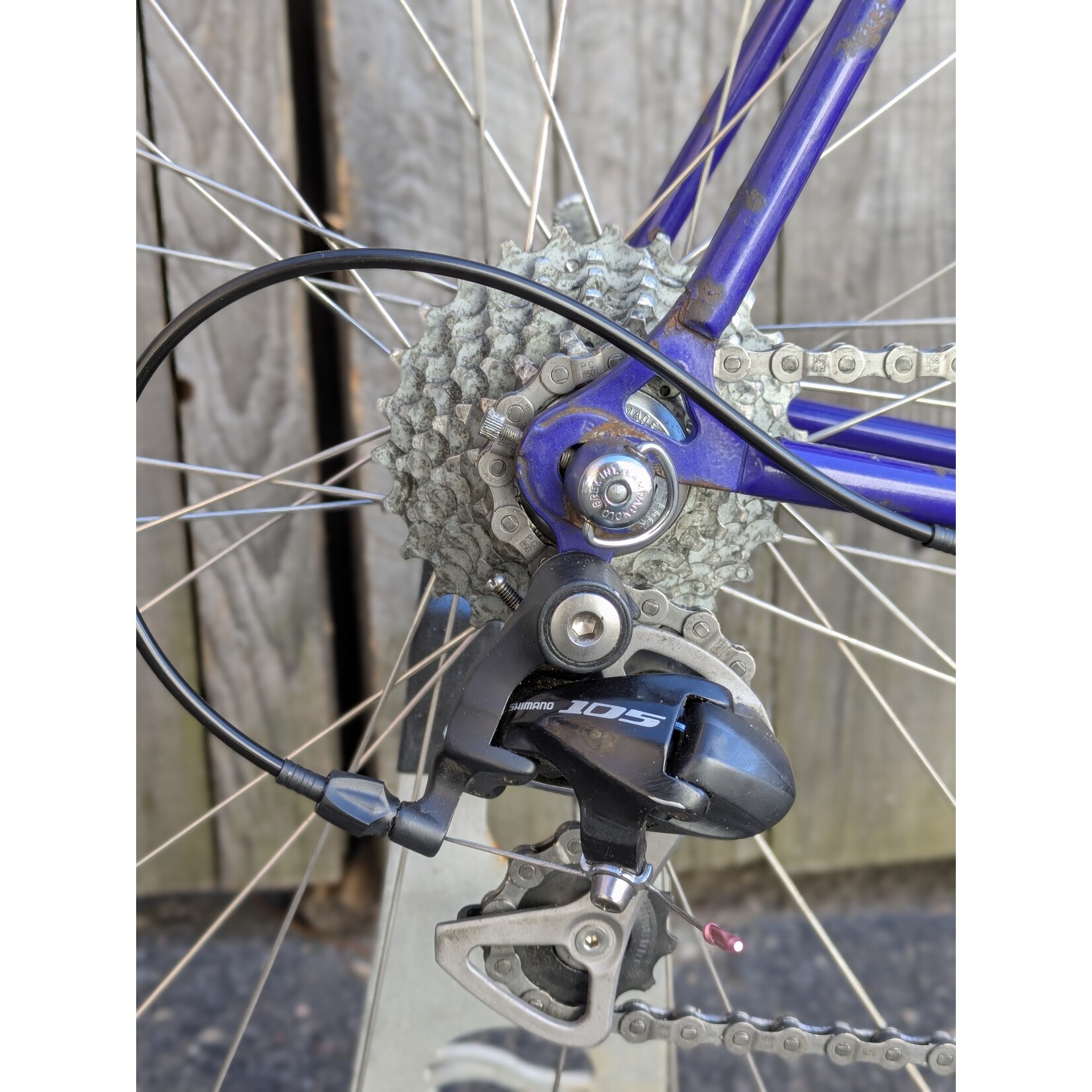 Portland Gear Hub Bianchi - Brava - Large - Blue