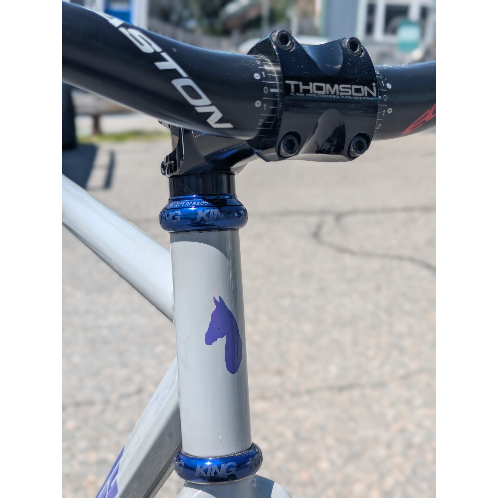 Portland Gear Hub Horse Cycles Santanico Track - Large - Grey