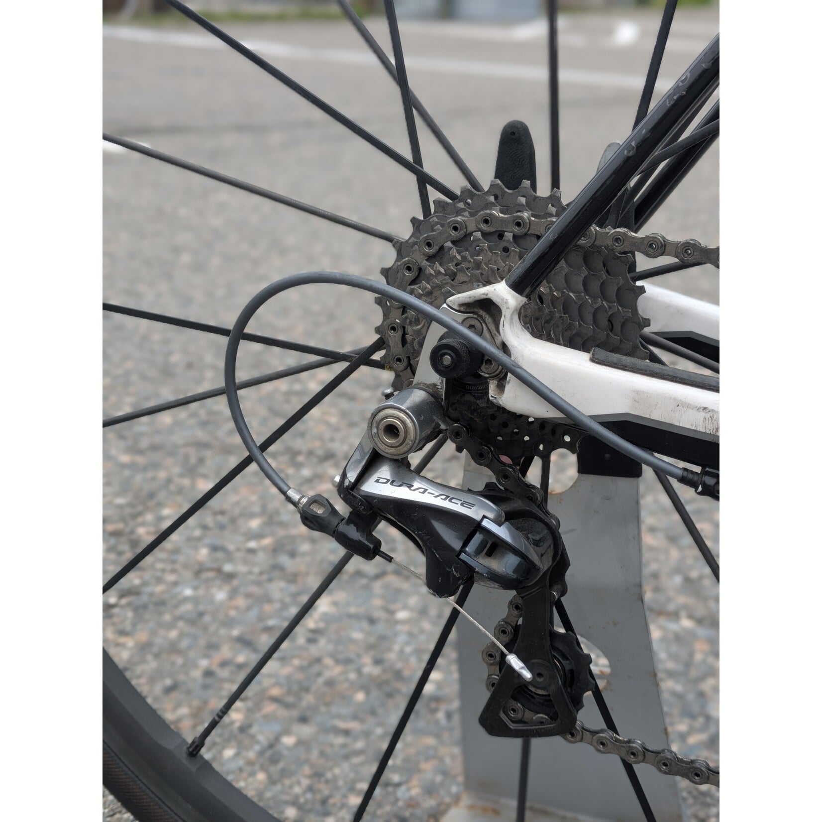 Portland Gear Hub Cervelo R3SL - 54cm/Medium