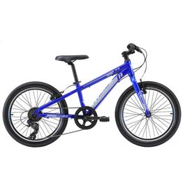 Reid Bikes Reid Bikes VIPER 20" BLUE