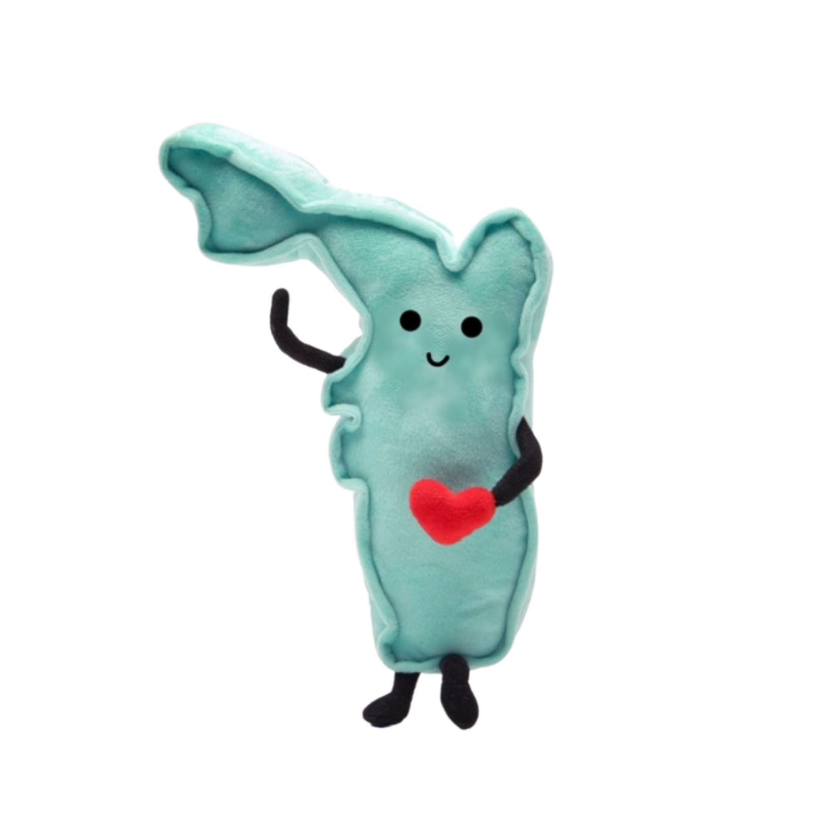 NA Florida State Plush (9" x 5")