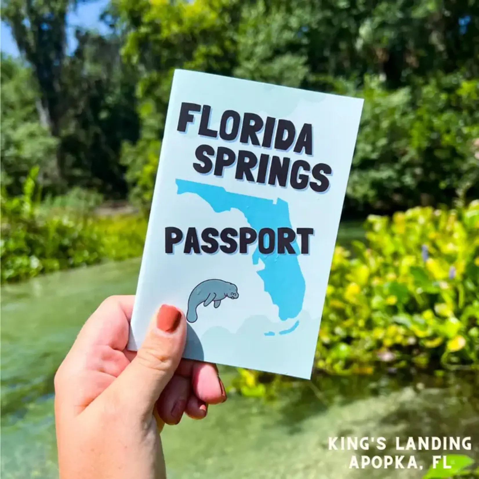 Book - FL Springs Passport