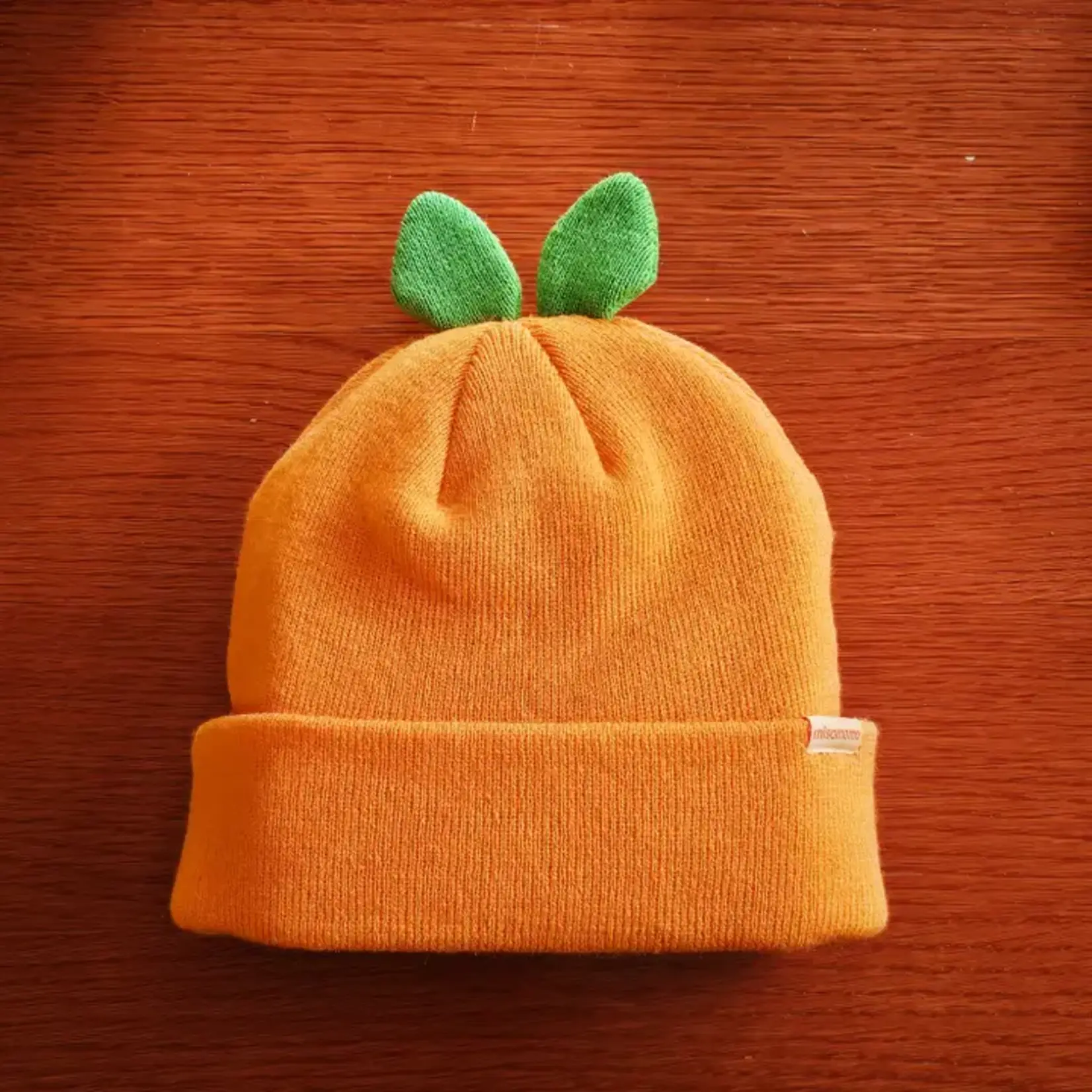 "Orange Sprout" Beanie