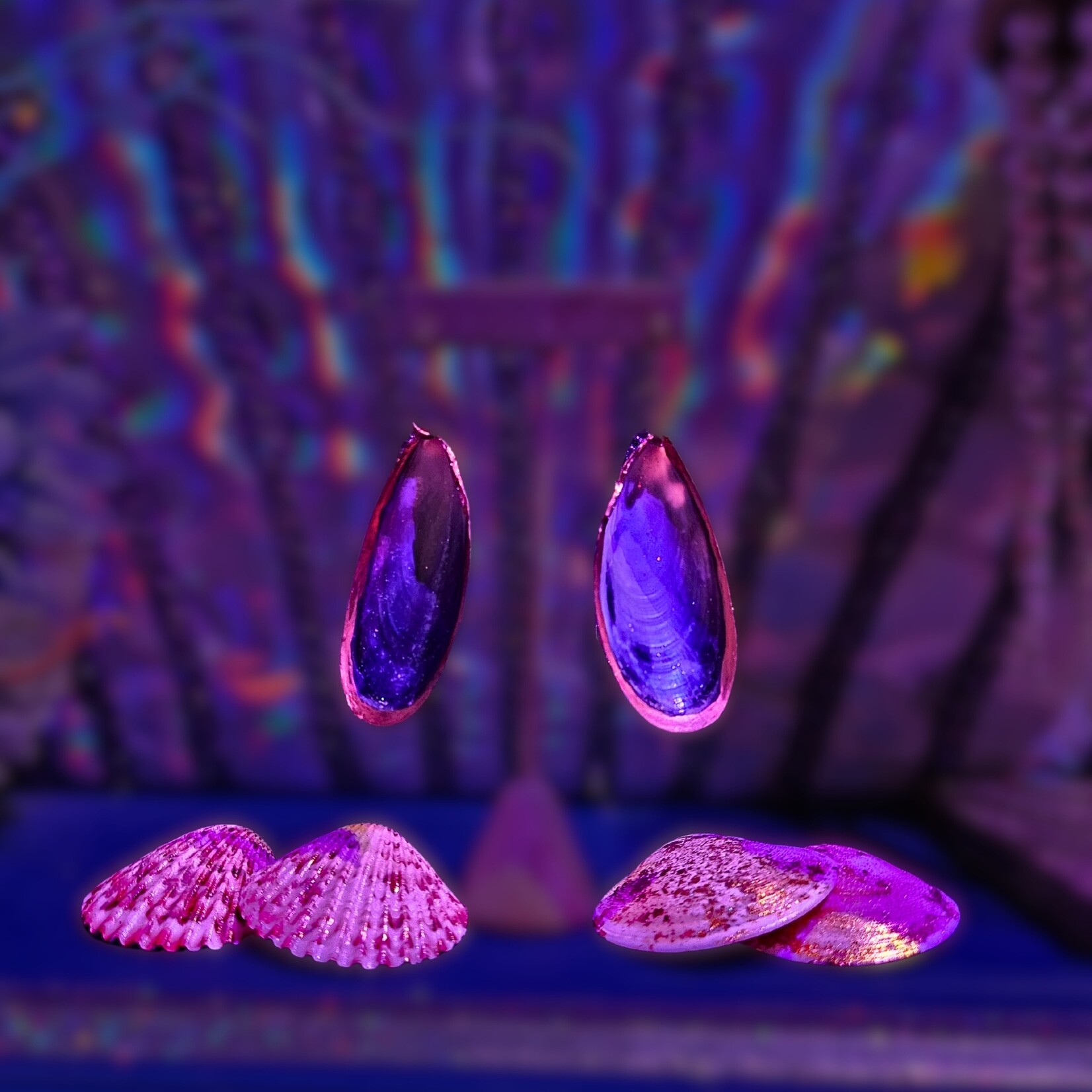 Seashell Queen Collection Seashell Queen's Seashell Earrings