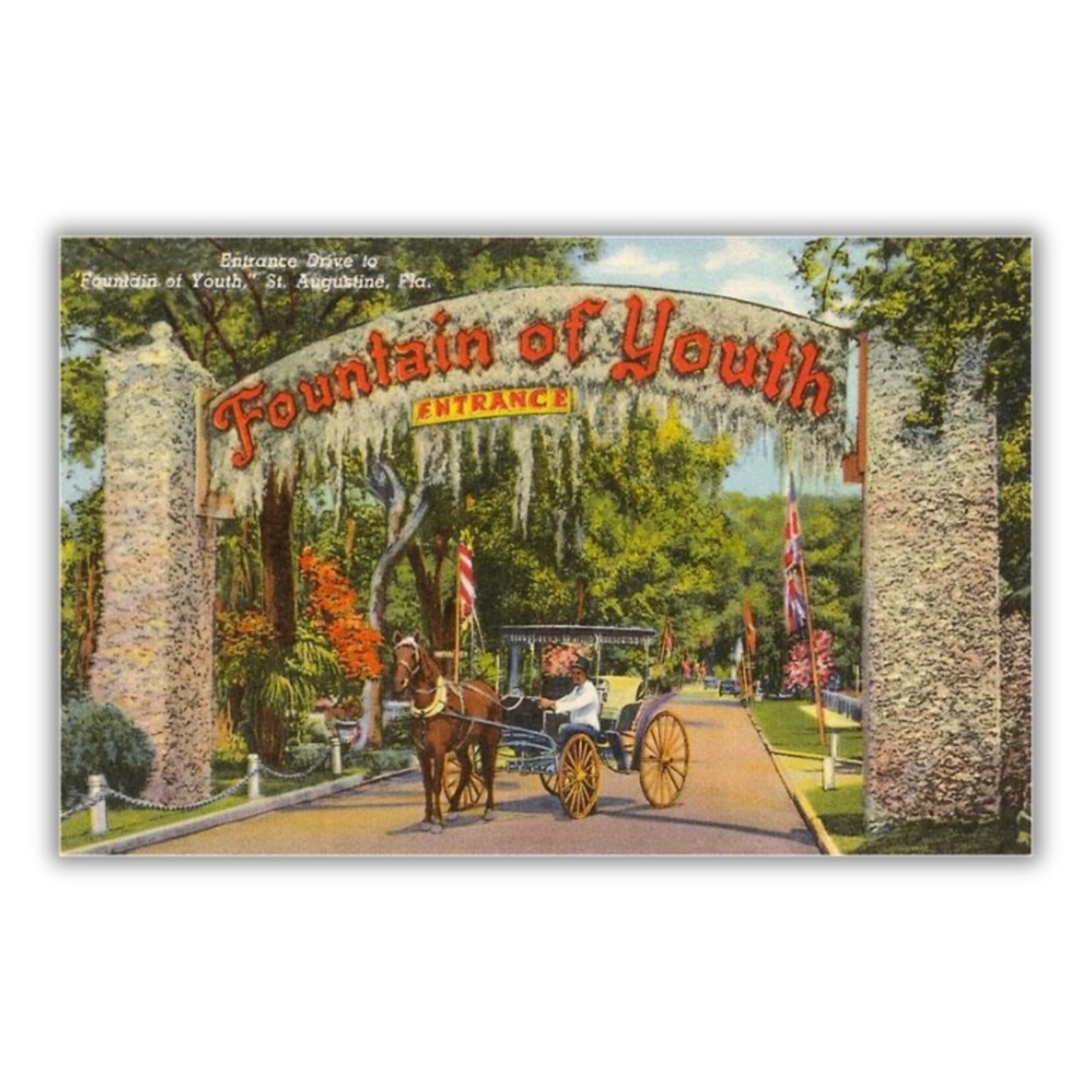Found Image Press's "Fountain of Youth" 5.5" x 3.5" Postcard