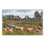 "Flamingos in Miami" 5.5" x 3.5" Postcard