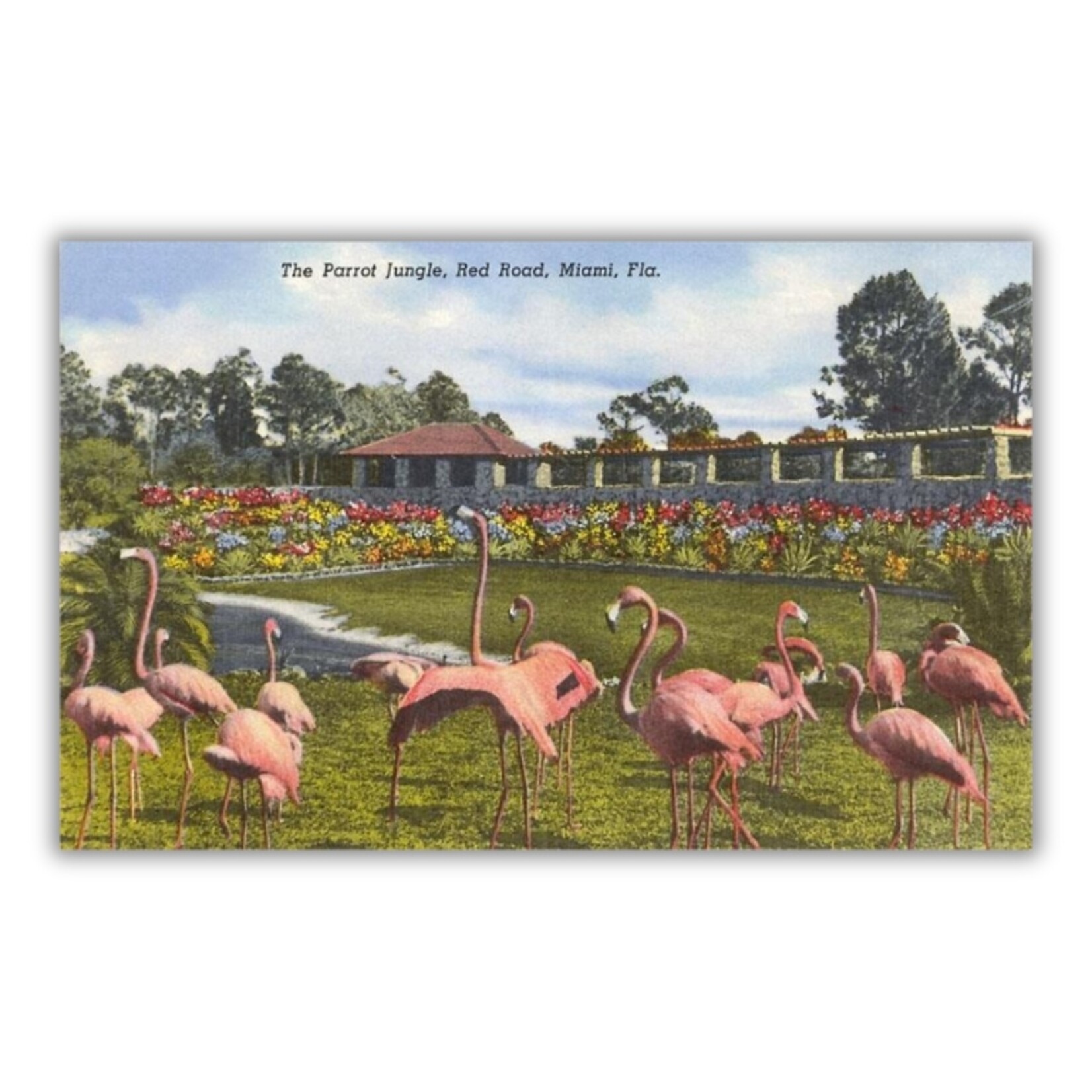Found Image Press's "Flamingos in Miami" 5.5" x 3.5" Postcard