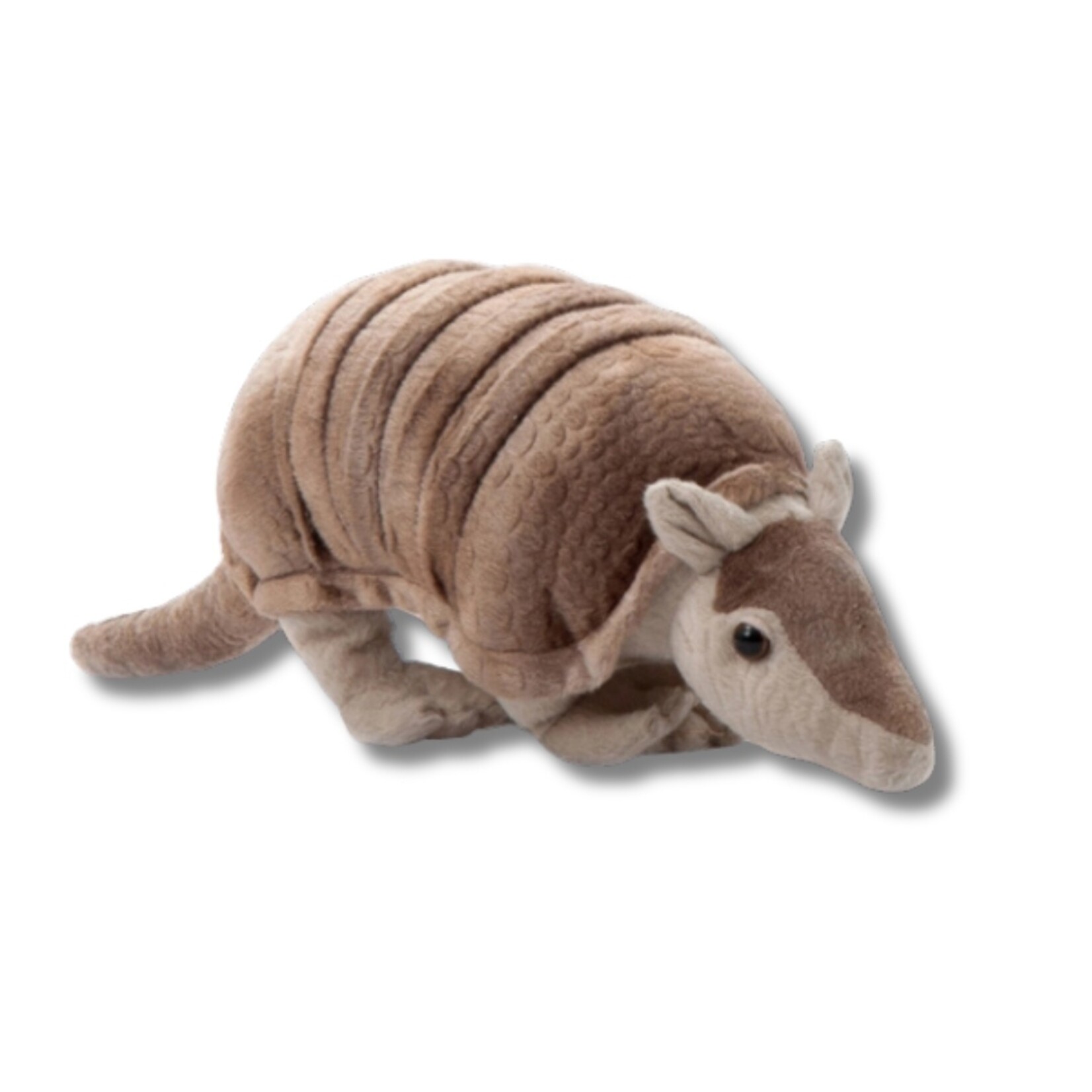 Armadillo Plush (14")