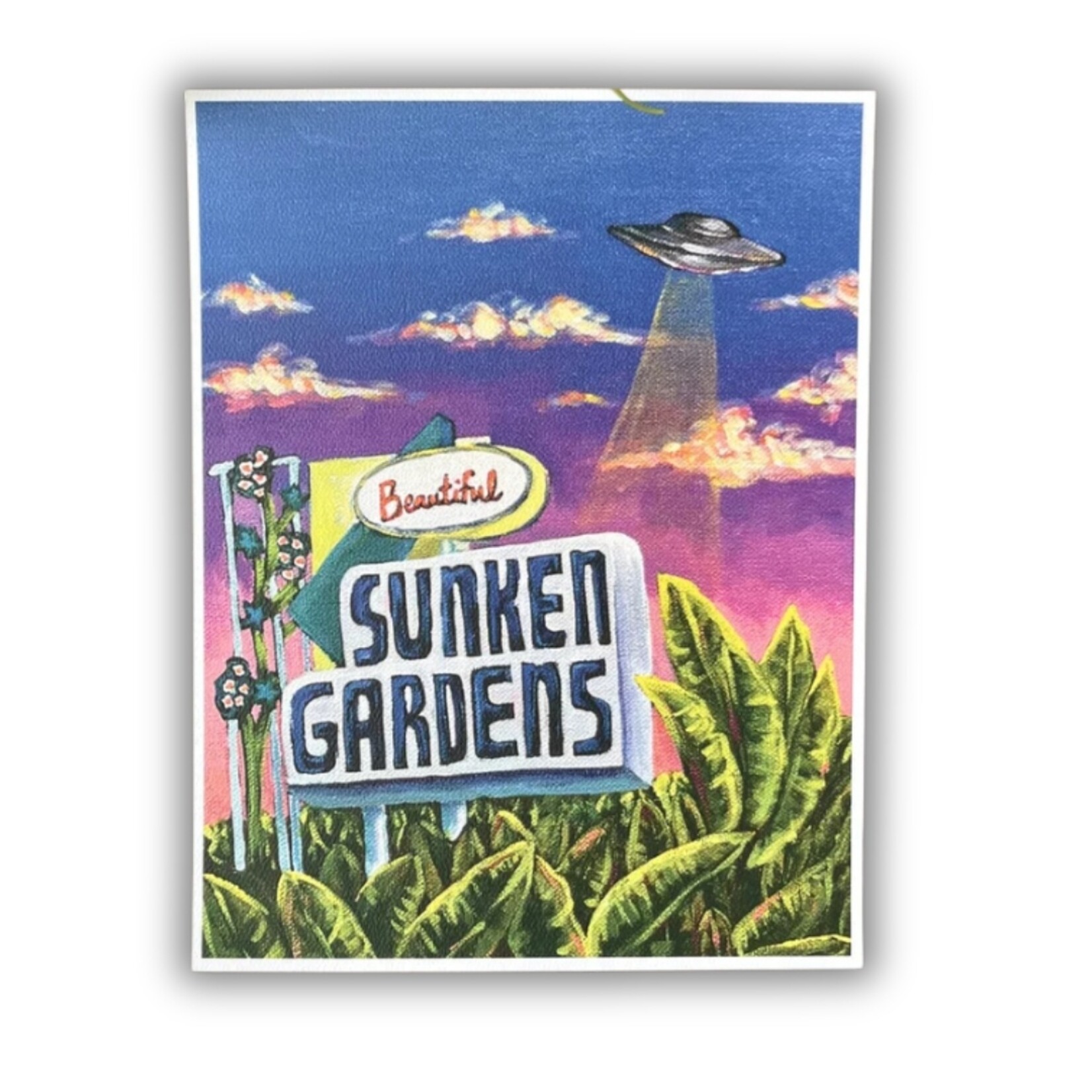 Kayla Heintz Kayla Heintz's “Sunken Gardens UFO Sighting”  8" x 10" Art Print